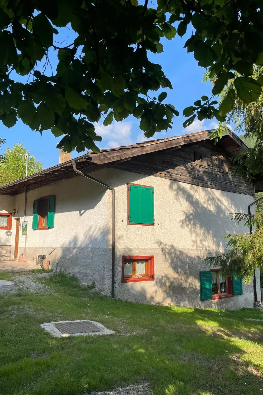 Gesegnet wie Frösche auf einem Seerosenblatt-Draußen