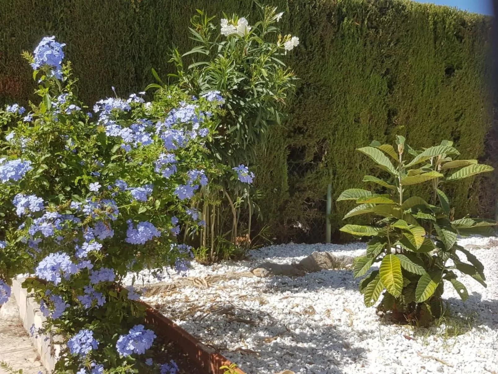 Casa Mila La Sella-Dehors