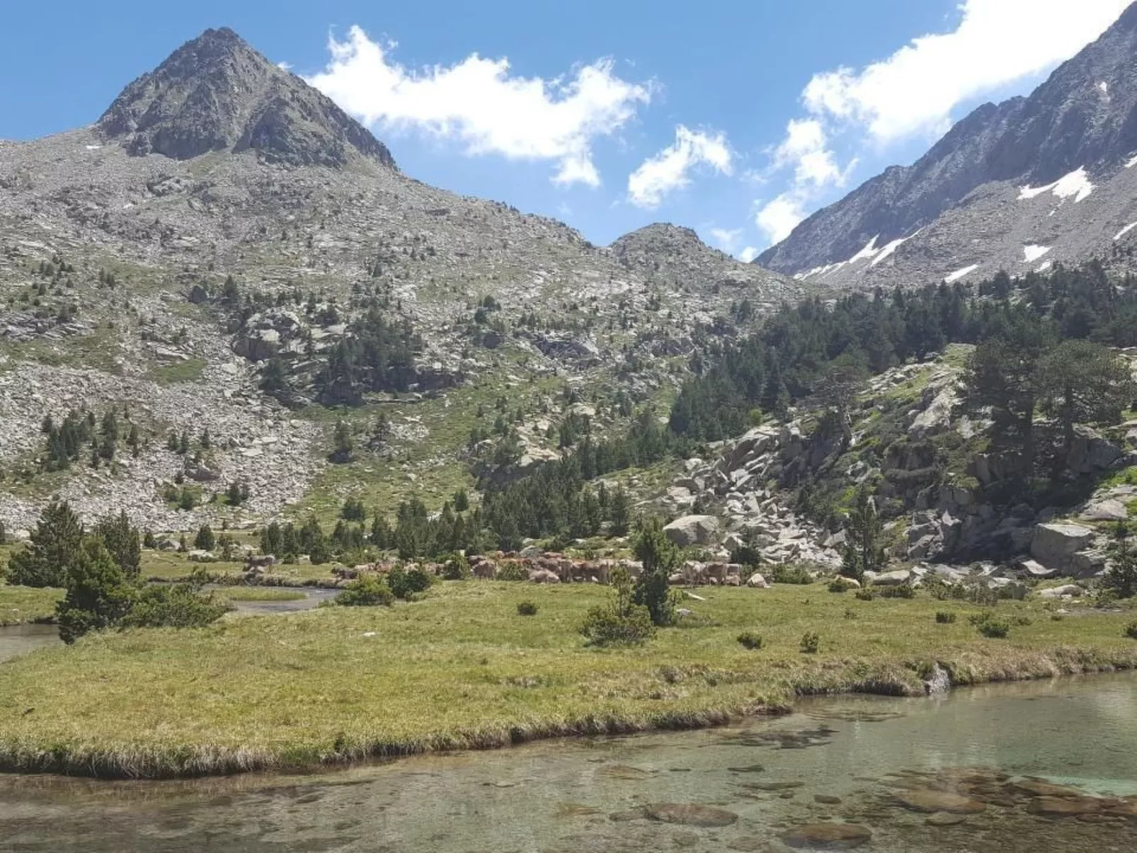 Appartement mit Terrasse-Image-tags.info