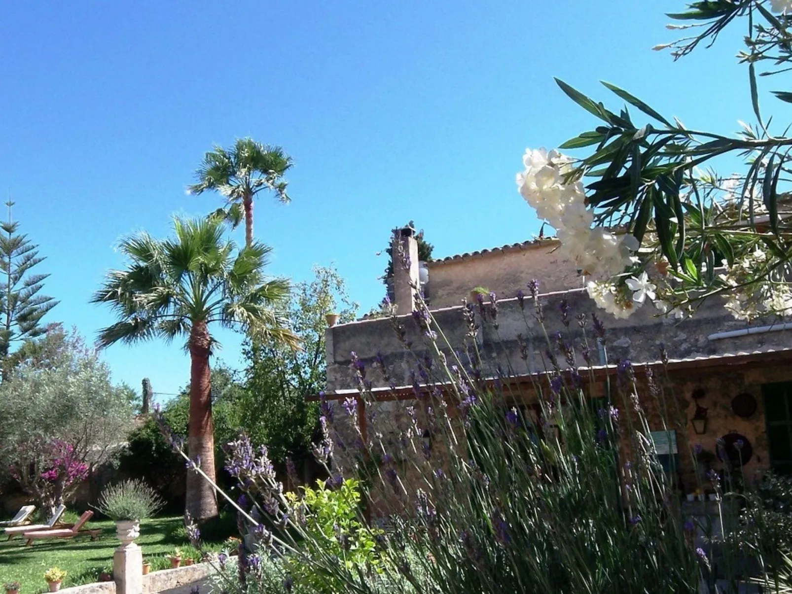 Studio Apartment-Image-tags.info