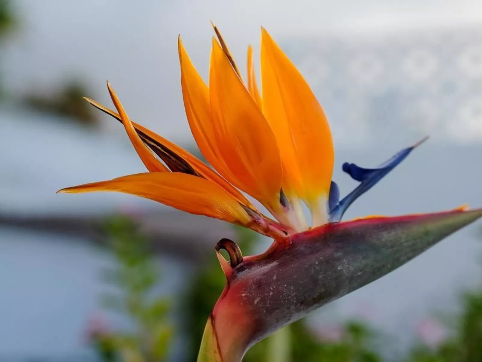 Strandnahes Haus mit Terrasse zum Sonnenuntergang - Outside