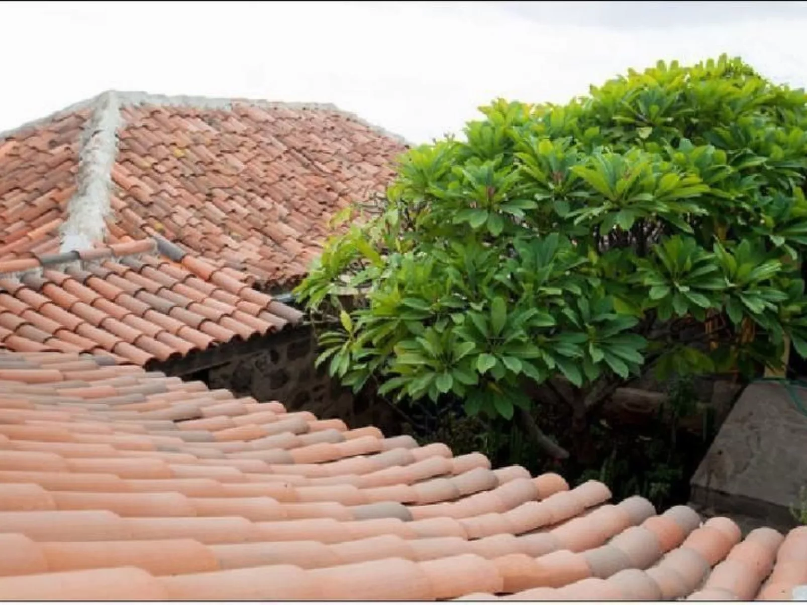 Haus mit Schwimmbad-Whirlpool in ruhiger Umgebung.-Outside