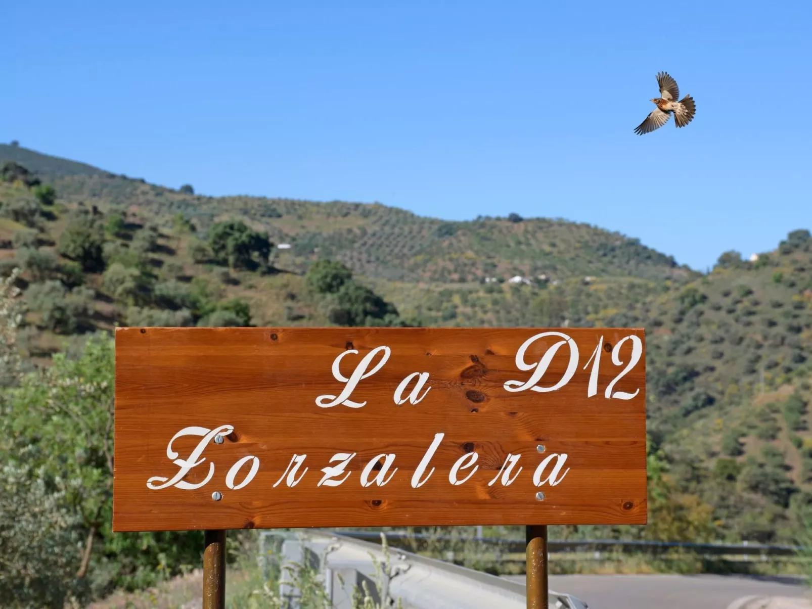 Villa La Zorzalera mit Tauchbecken, Wifi, Klimaanlage-Image-tags.info