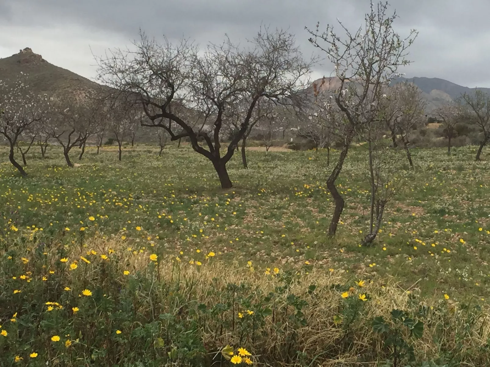 Casa Maravilla in der Nähe der Küste. Frieden und Ruhe.-Inside