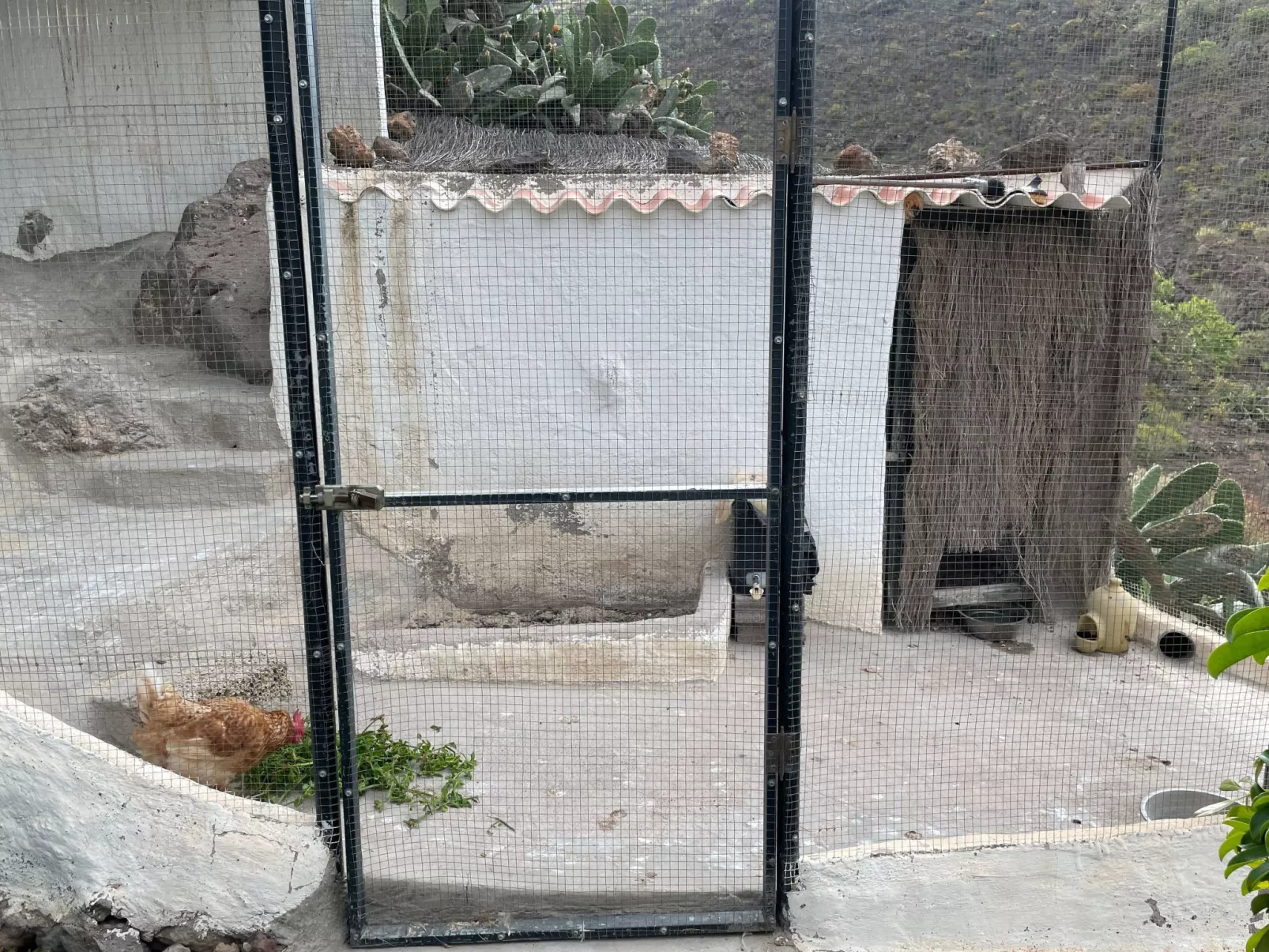 La Paloma mit gemeinschaftlichem Wellnessbereich-Outside