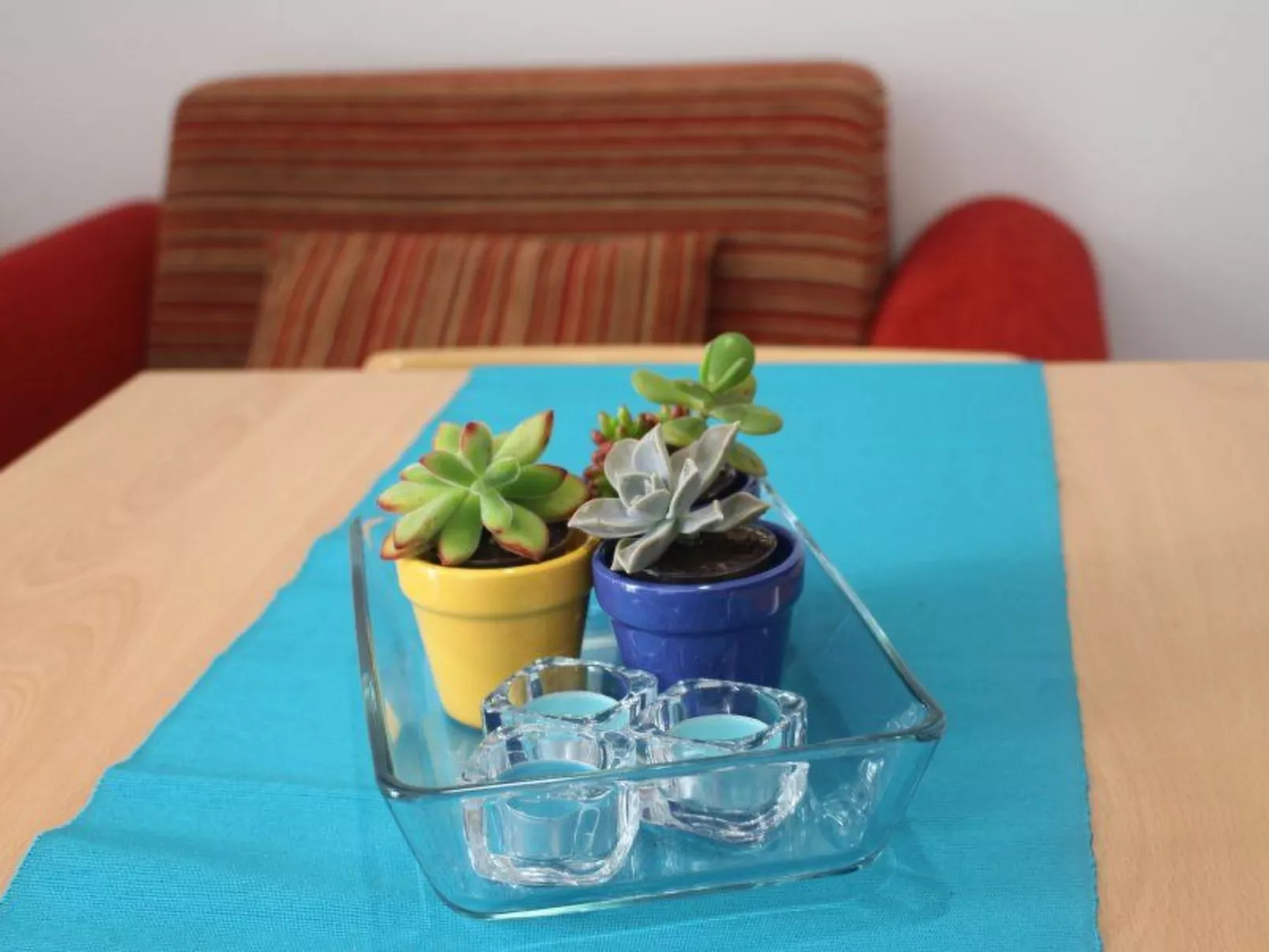 Cuore di Palme Bilo-Inside