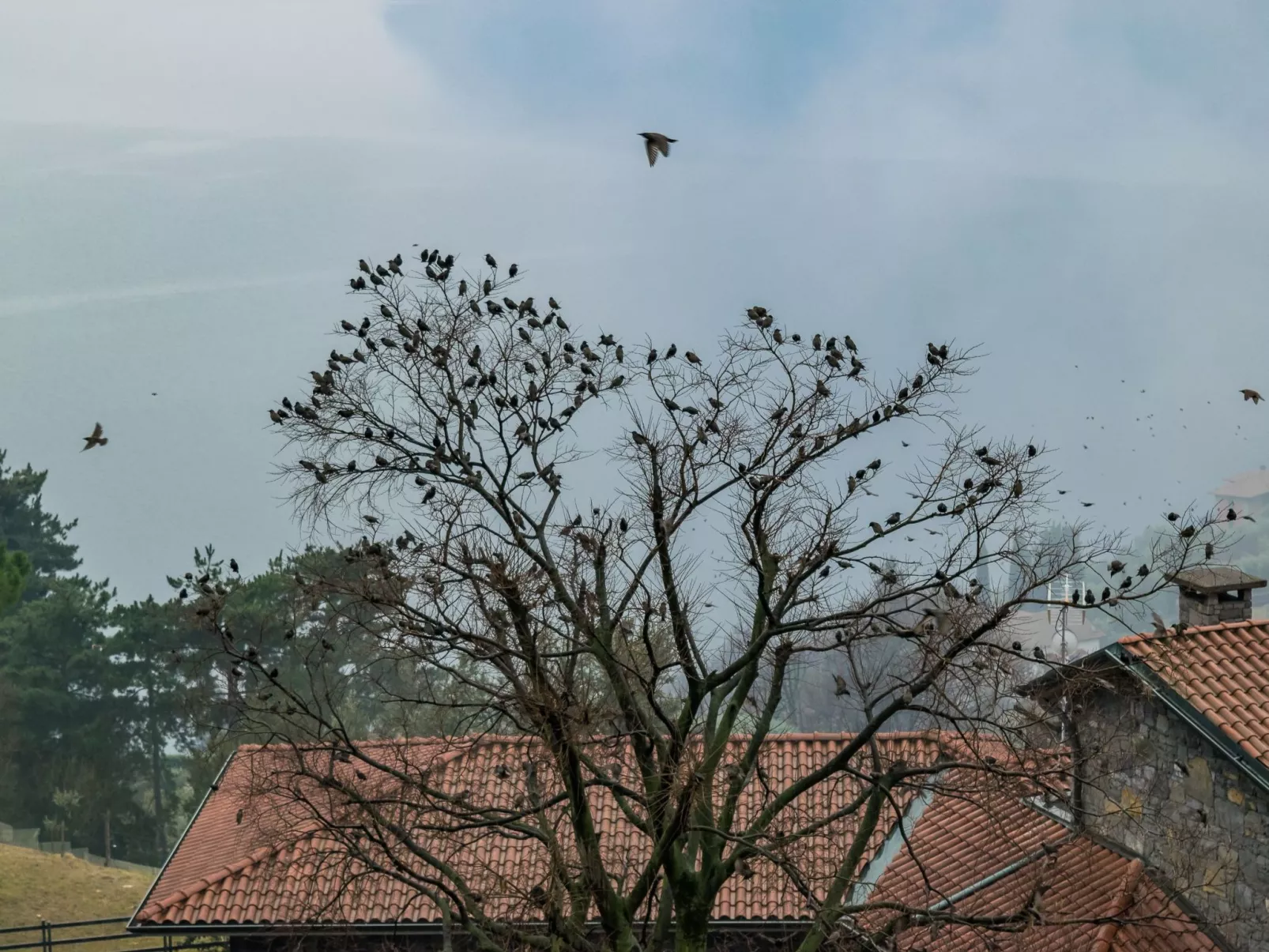 Wohnung in Riva Di Solto mit Kleinem Garten-Outside