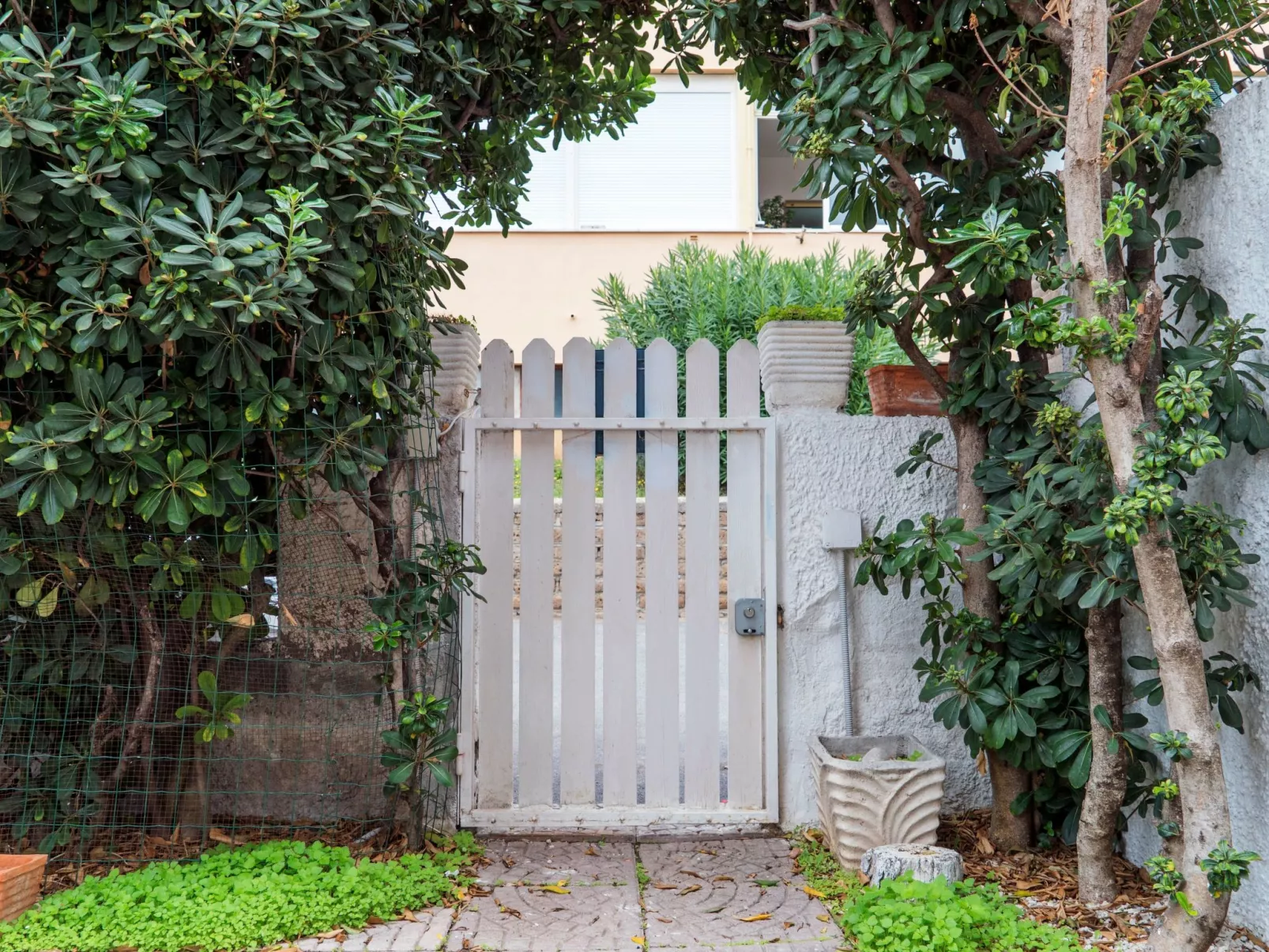 Mit Meerblick-Image-tags.info