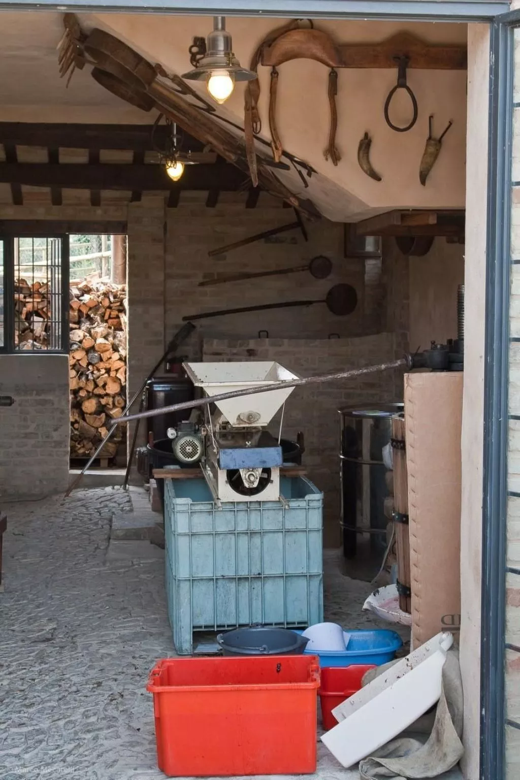 Grünes Appartement-Dedans