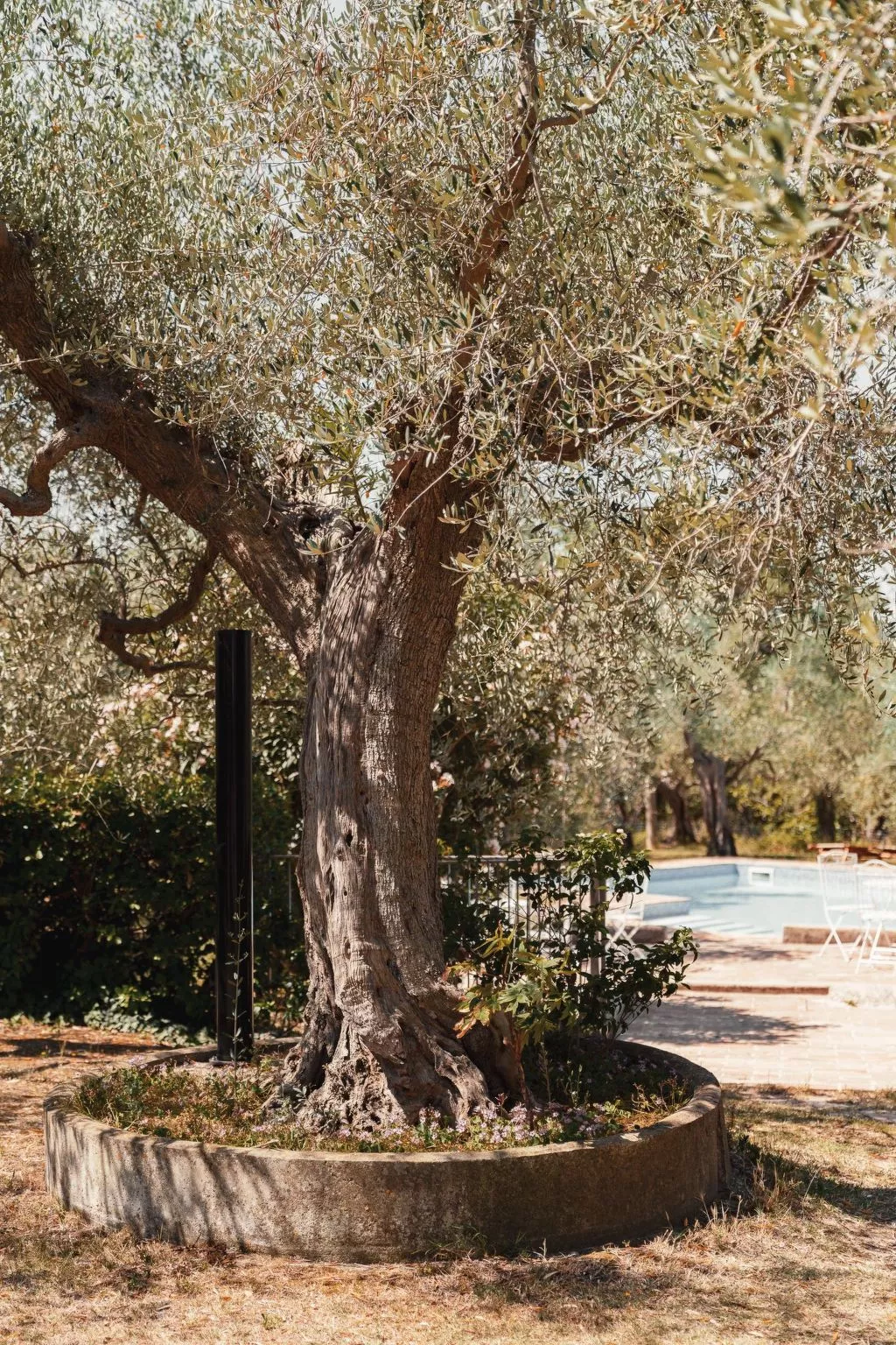 In einem Bauernhaus in den Hügeln, mit Garten und Pool-Outside