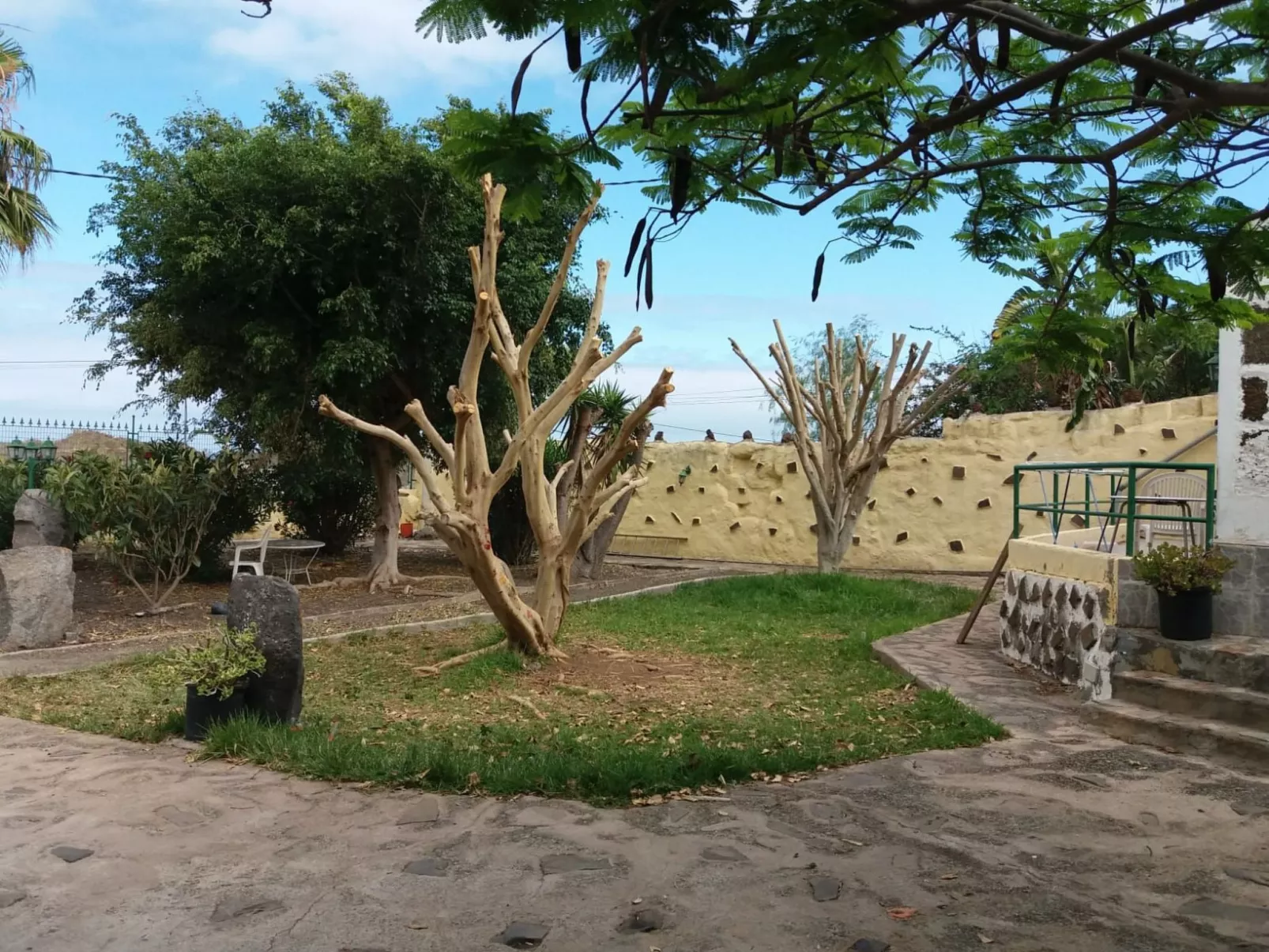 Haus El Cardón A1-Image-tags.info