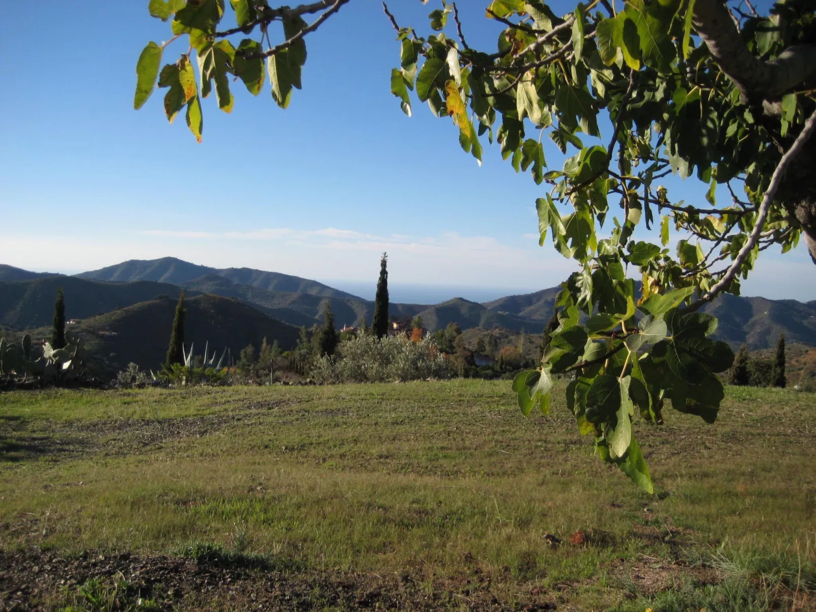Finca 'Casa Siete Arcos' - Outside