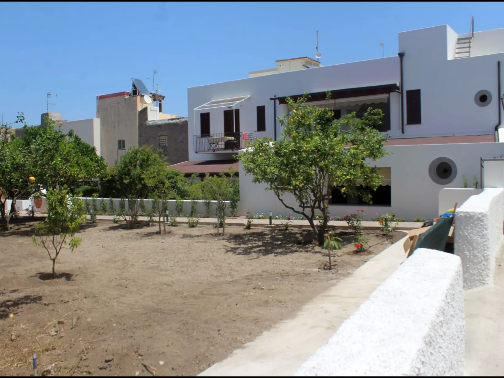 'Camelia ab 236-Image-tags.info