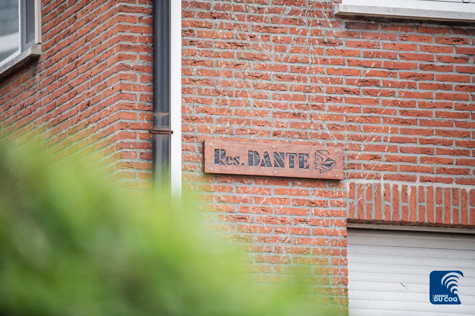 Dante 0103-Exterior summer