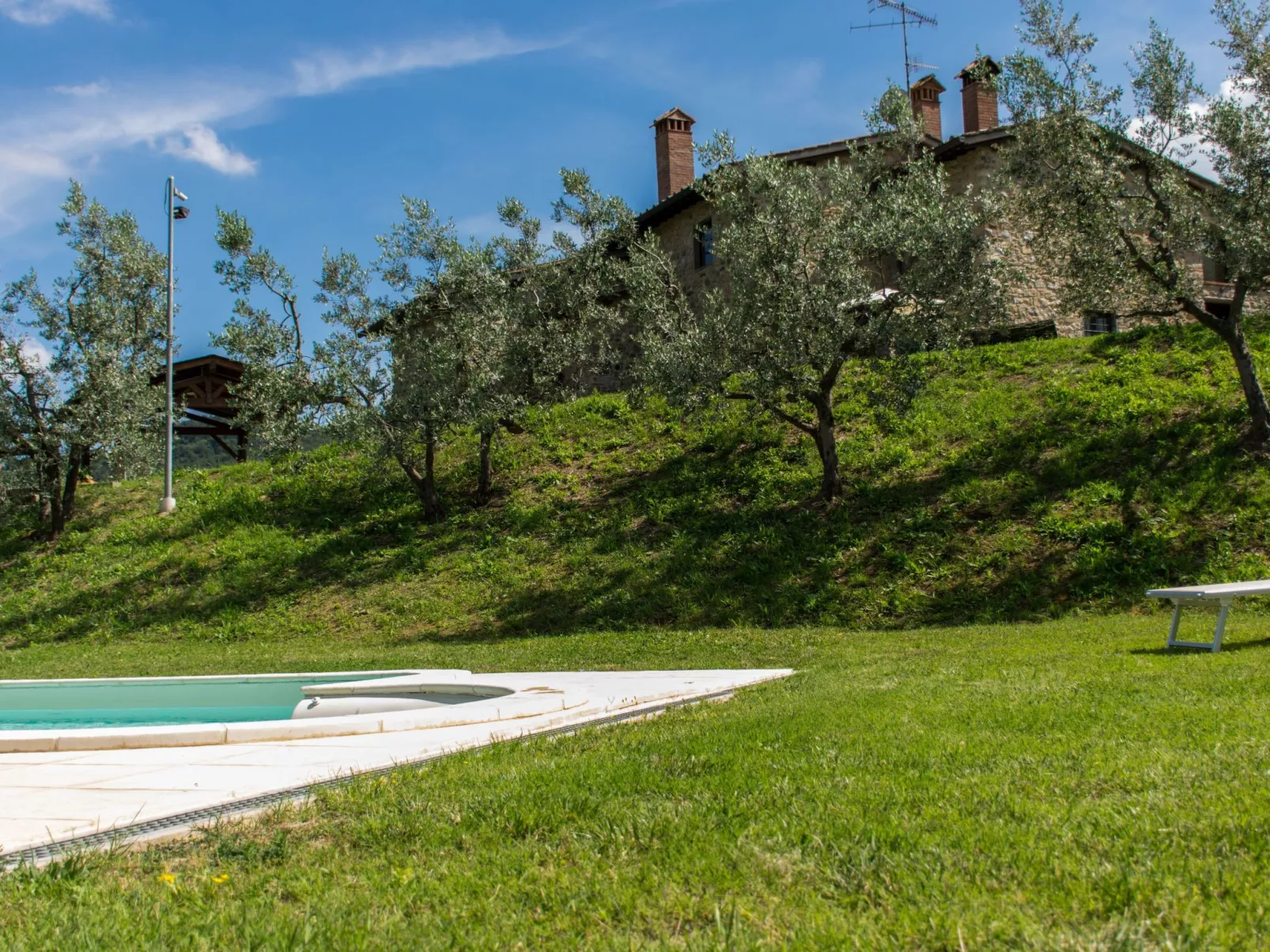 Ein Haus in der Olivenhaine - casa buriano GIULIA-Draußen