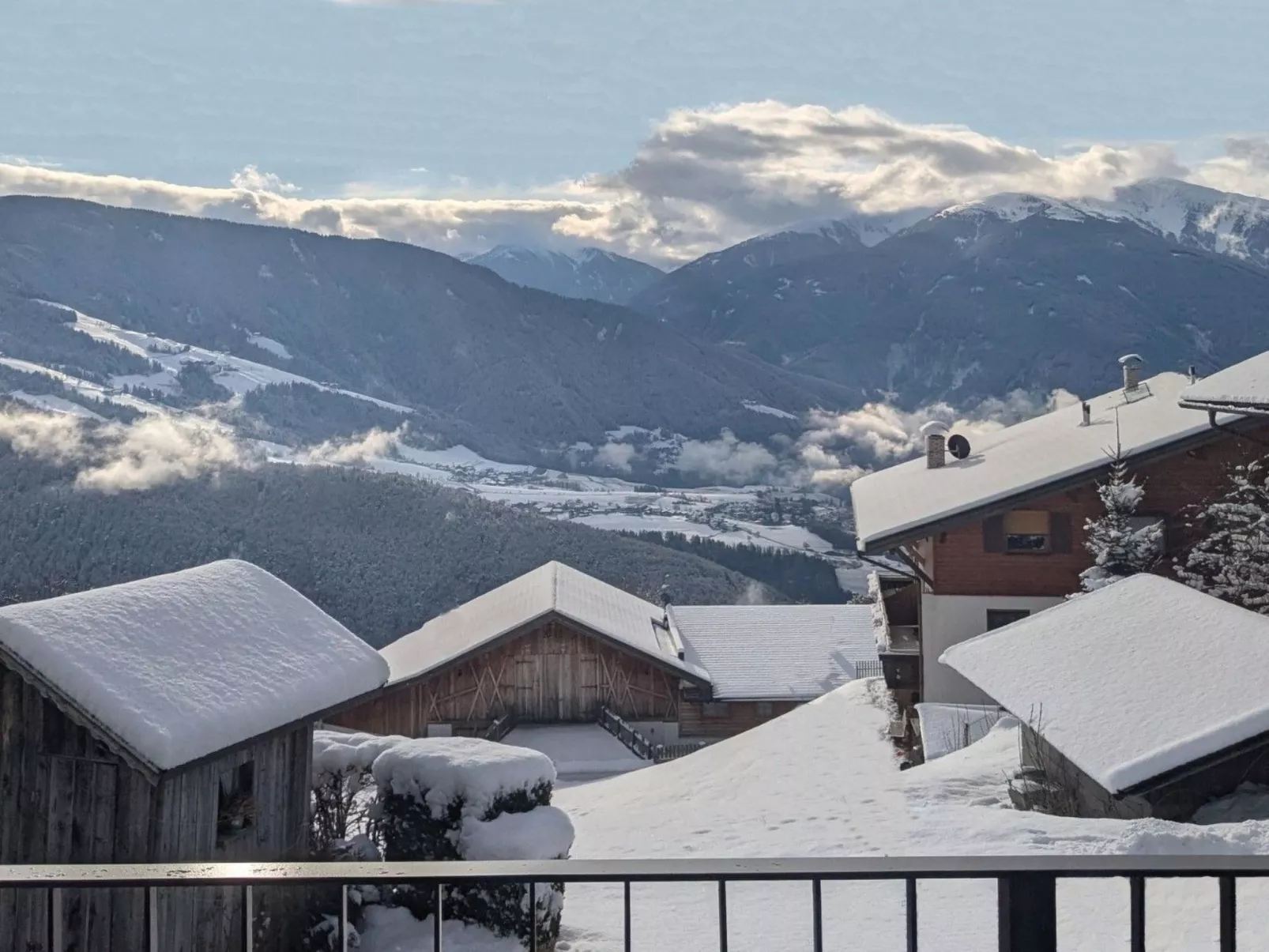 App. Haselstaude-Outside