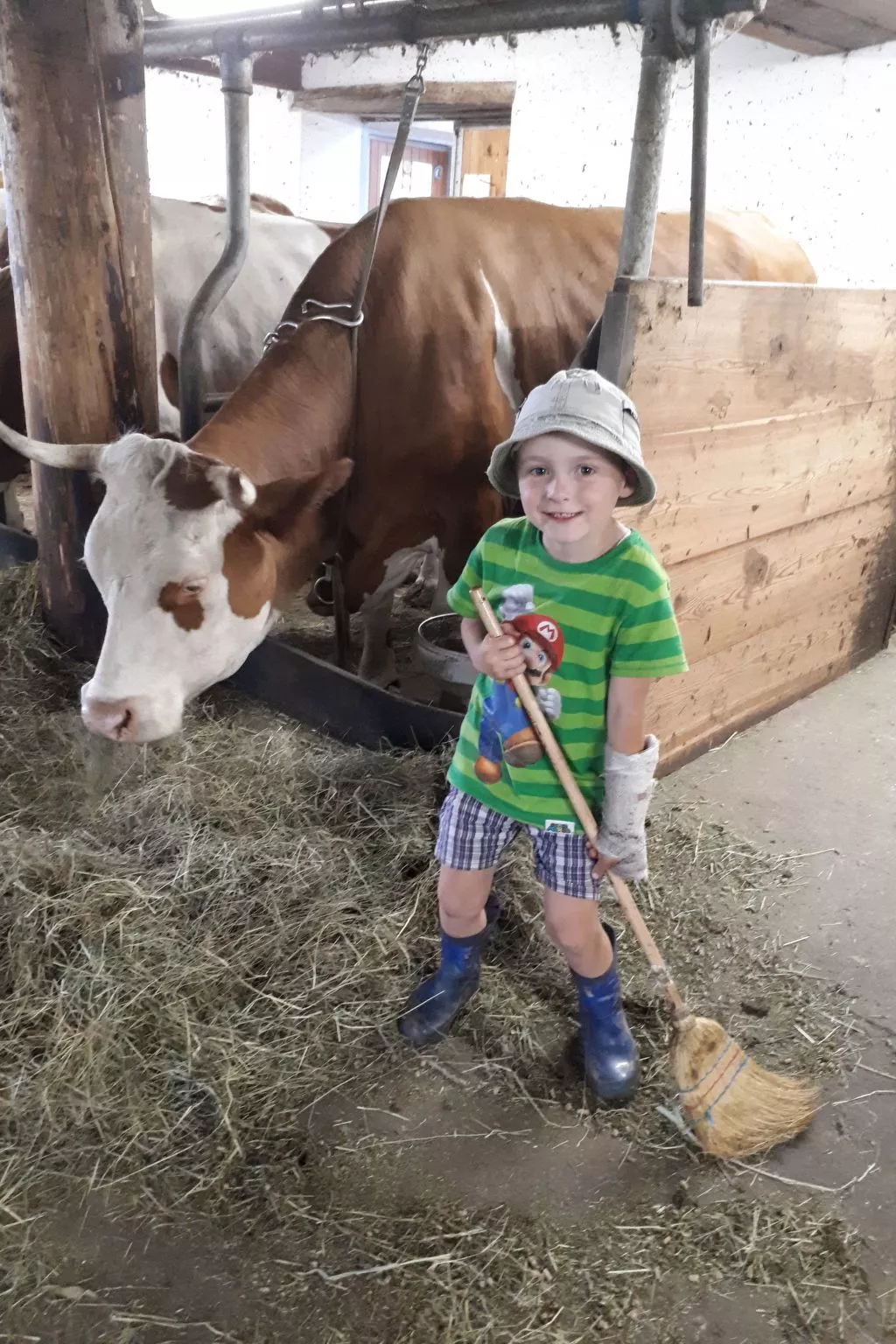 Kompatscherhof-Image-tags.info