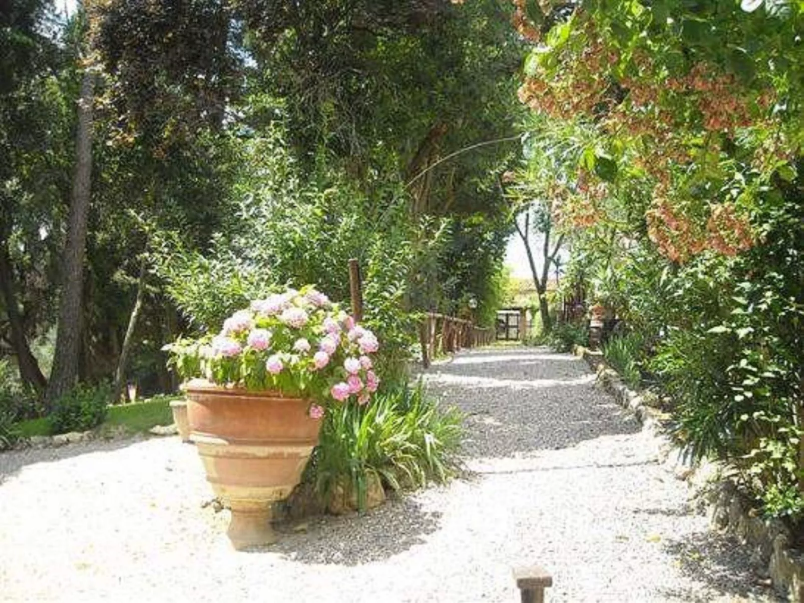 Villa il Frassine-Outside