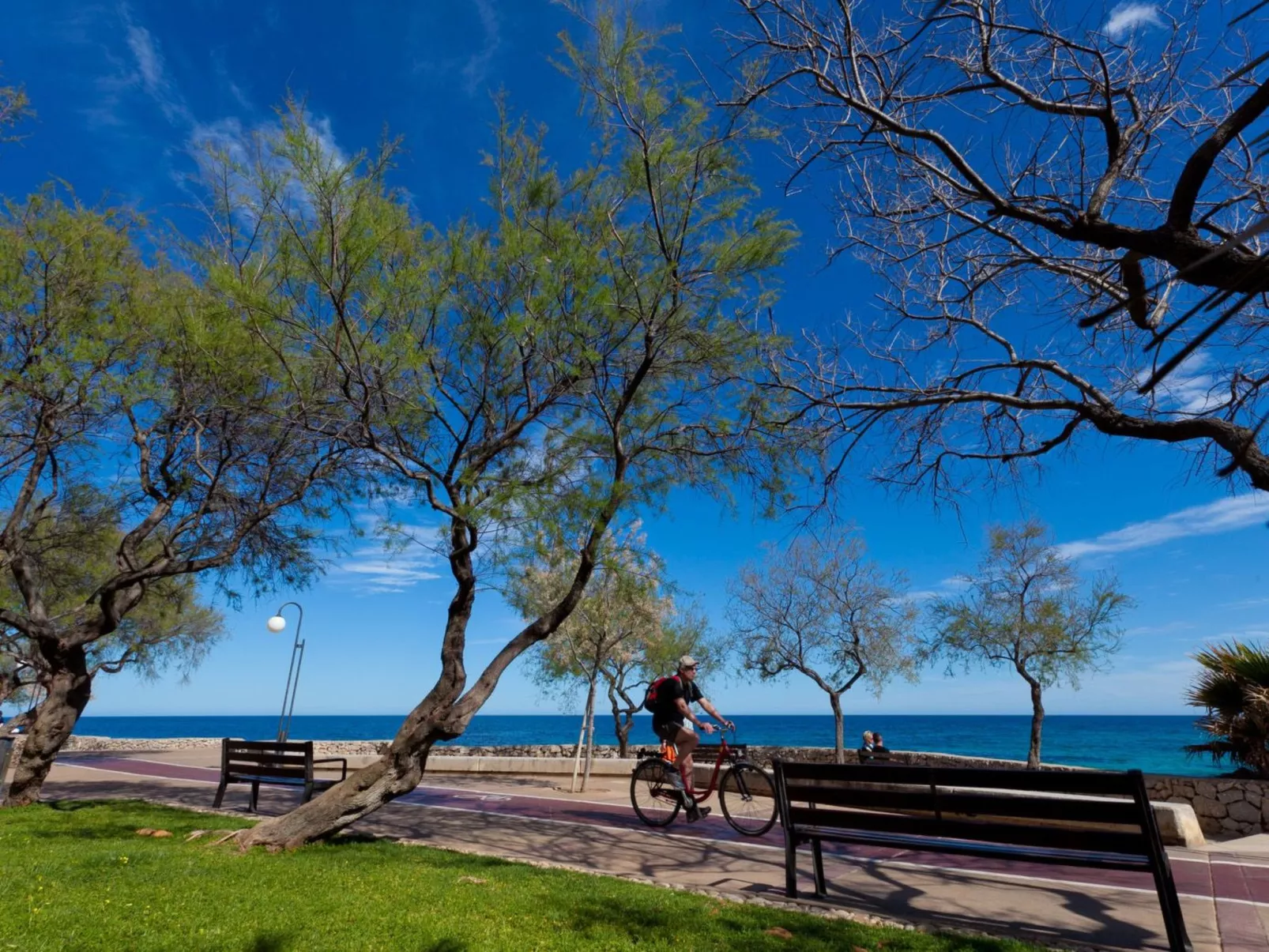 Mafloras Luxus und Strand Appartement-Image-tags.info