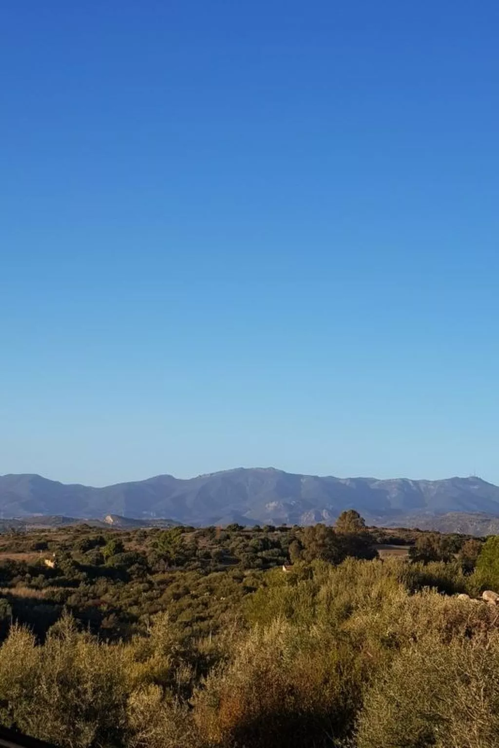 Su Niu Crobu unten-Image-tags.info