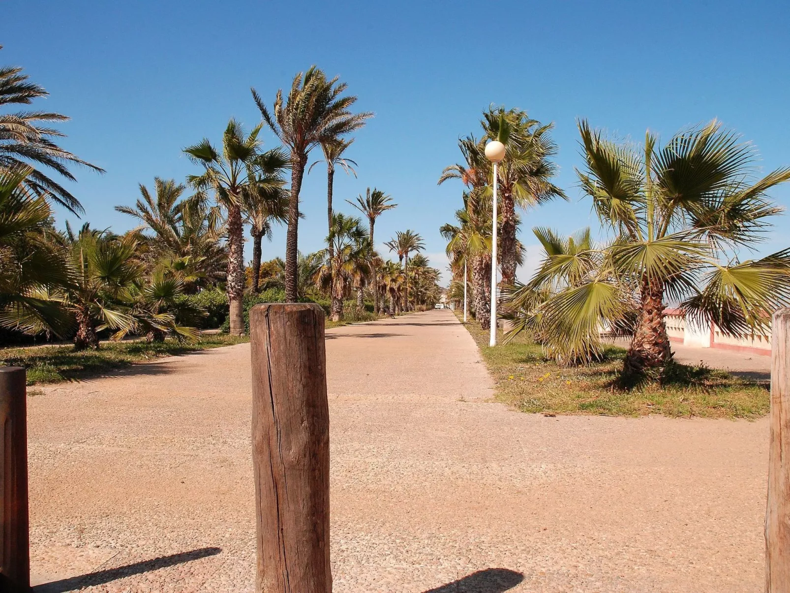 Olivos 8-Image-tags.info