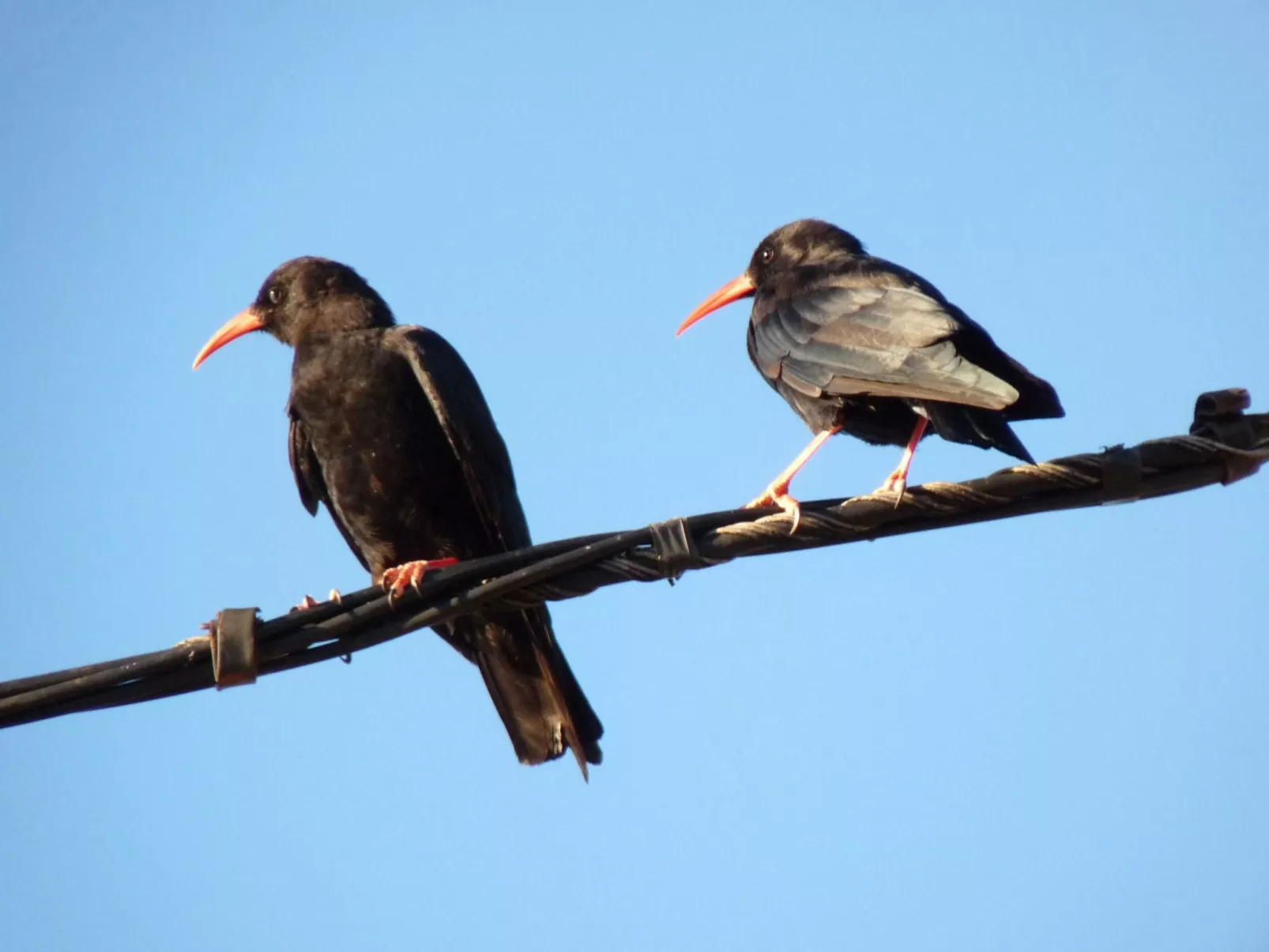 Ruhige Finca Topo del Drago mit Meerblick-Image-tags.info