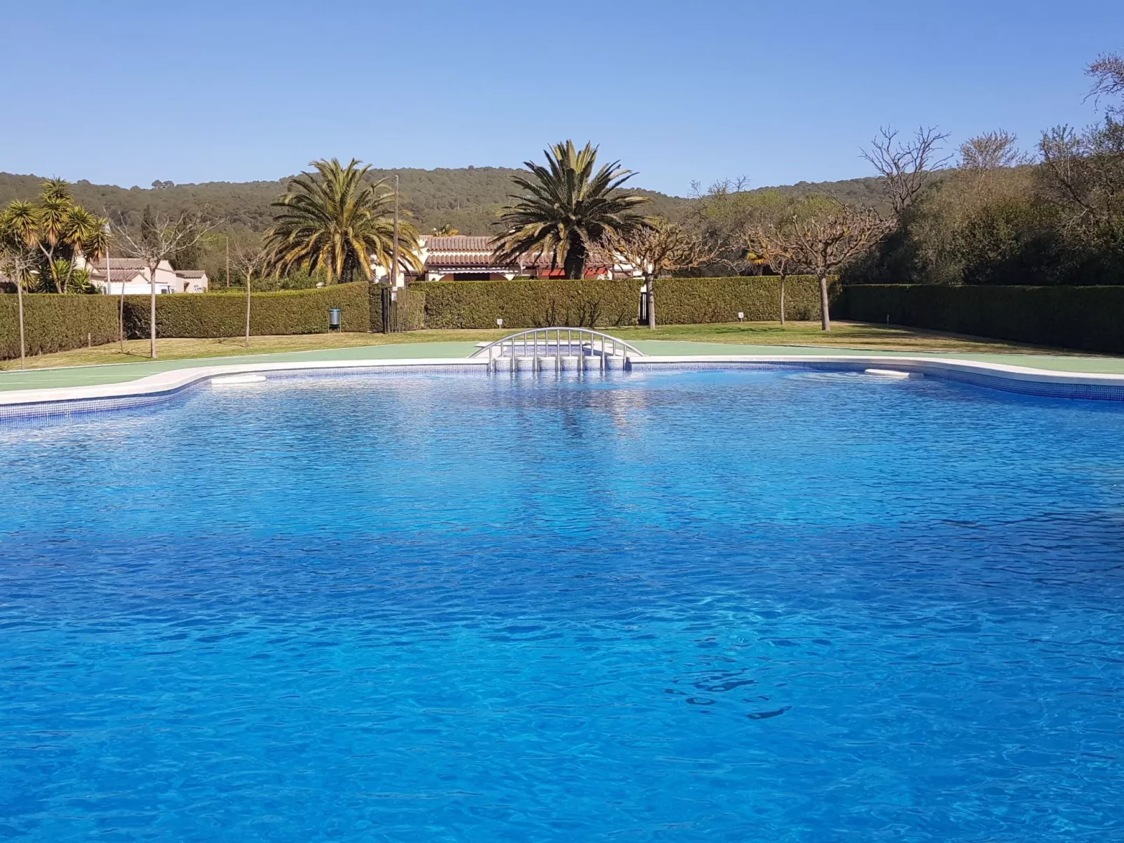 Casa Palmeres-Image-tags.info