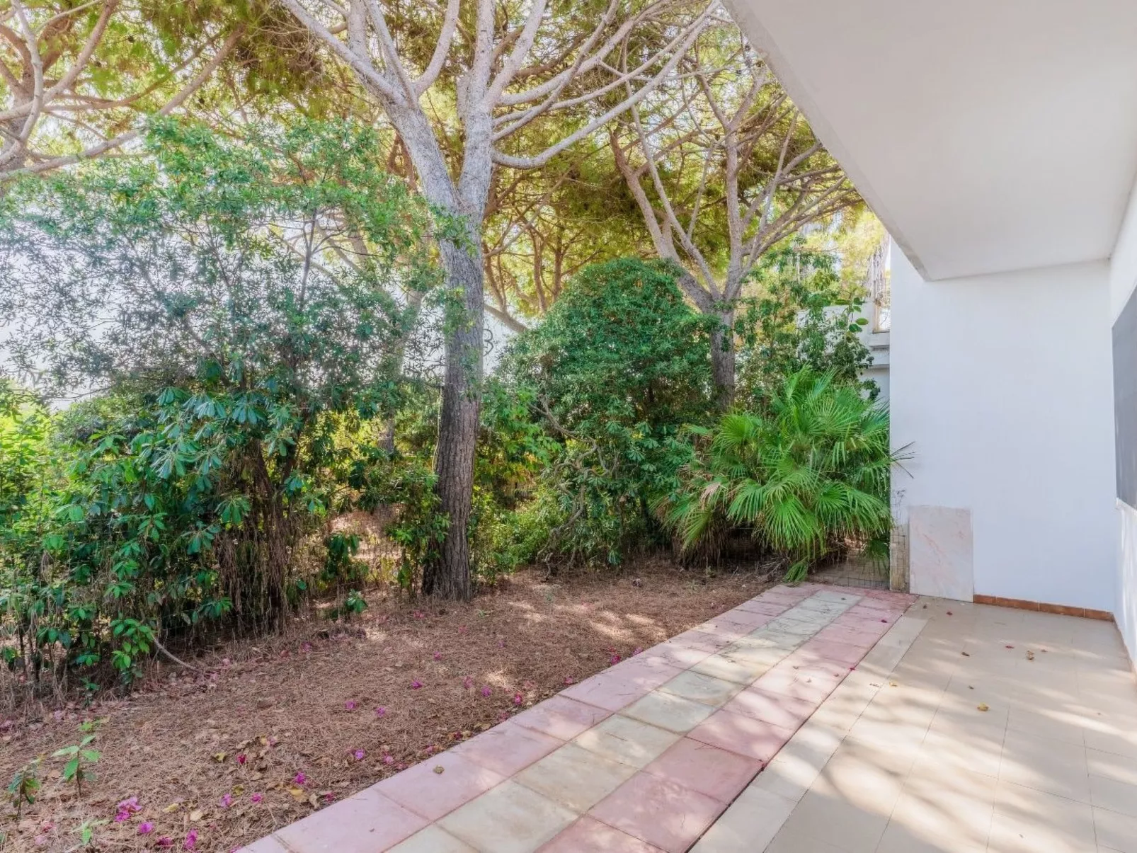 'Villa Nami' in Strandnähe-Image-tags.info