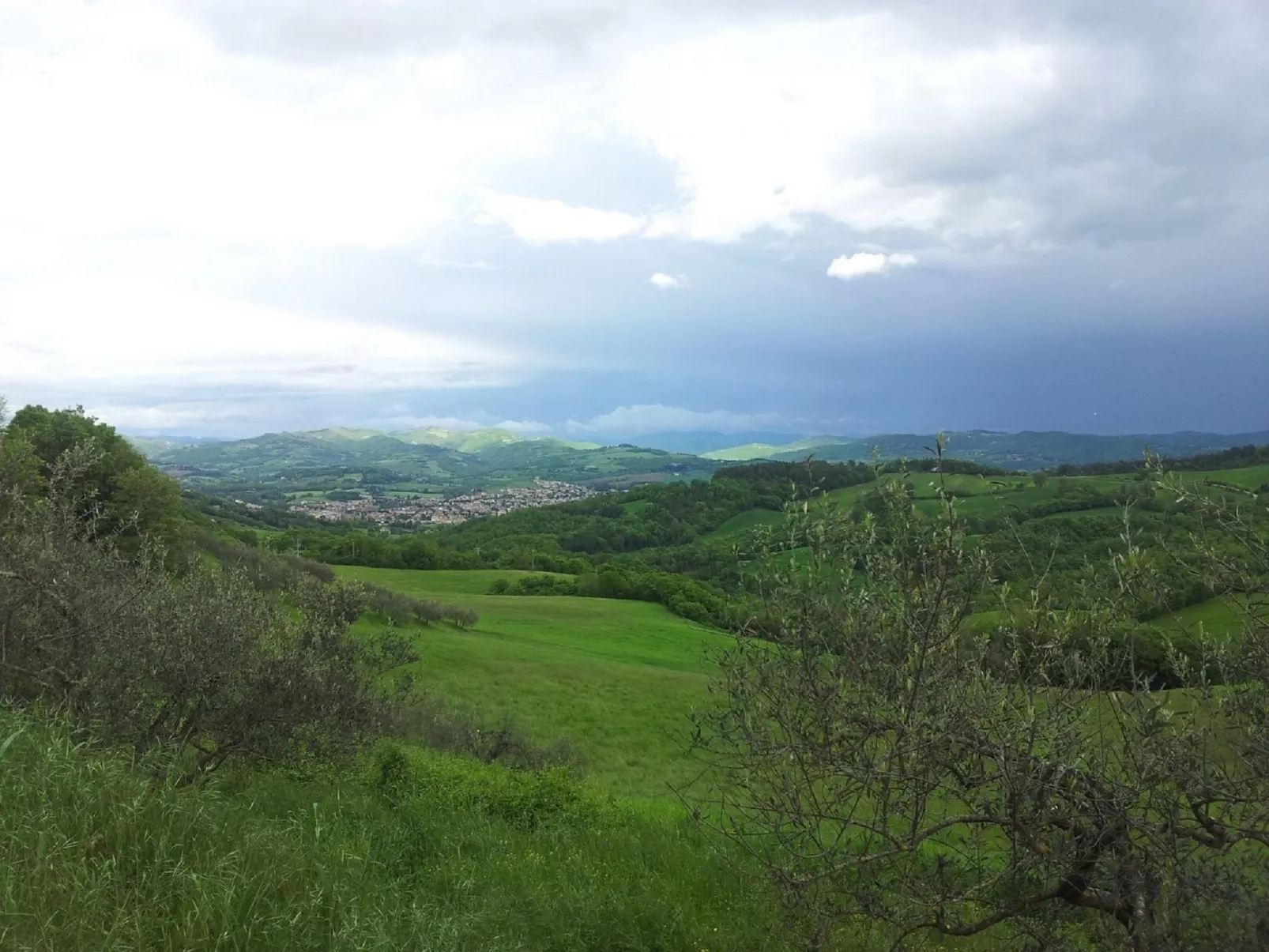 Privates Poolhaus im grünen Herzen von Umbrien-Dehors