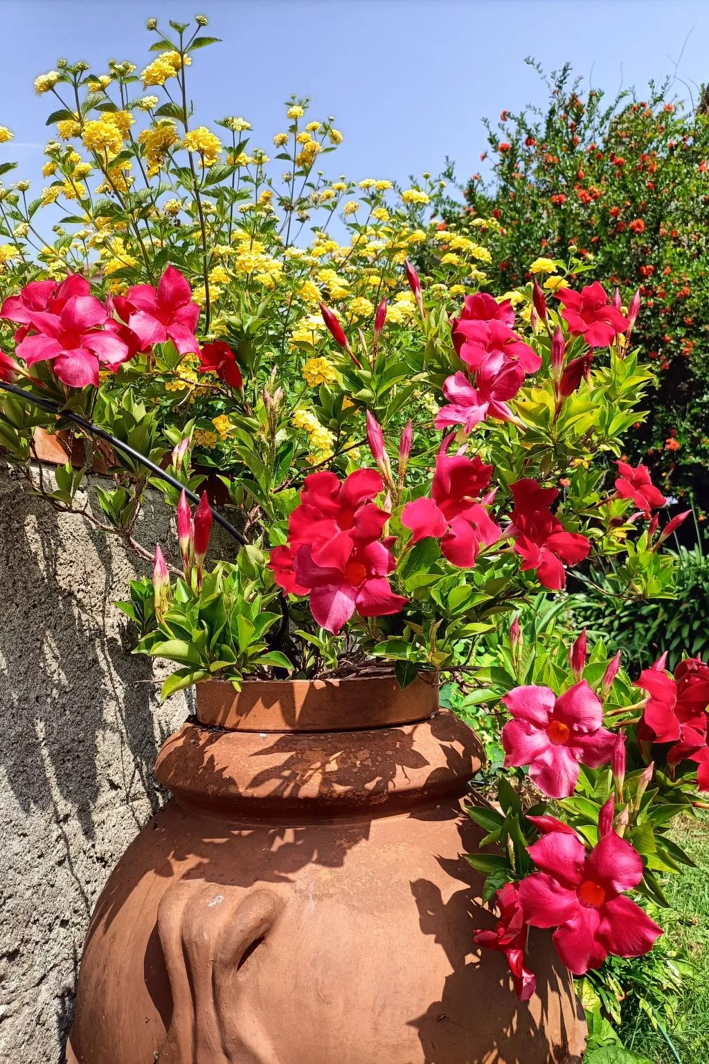 Mit Wasserblick-Outside