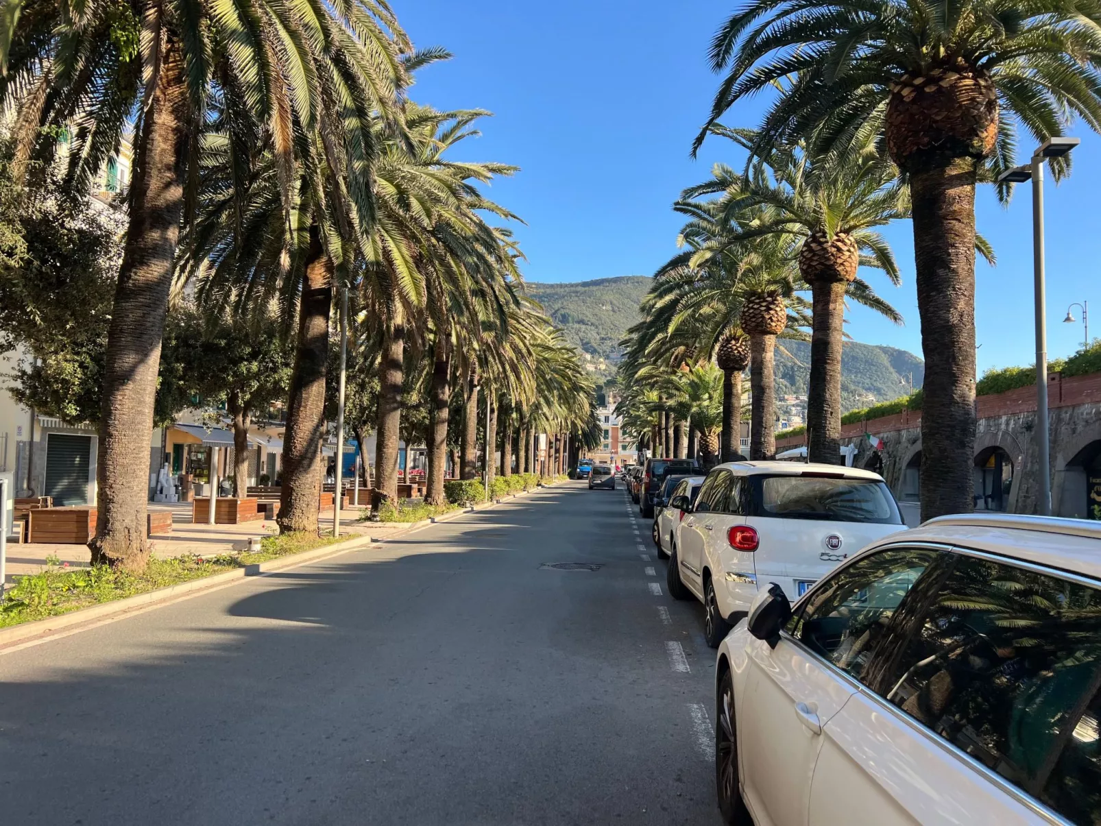 House Agave by Holiday World-Dehors