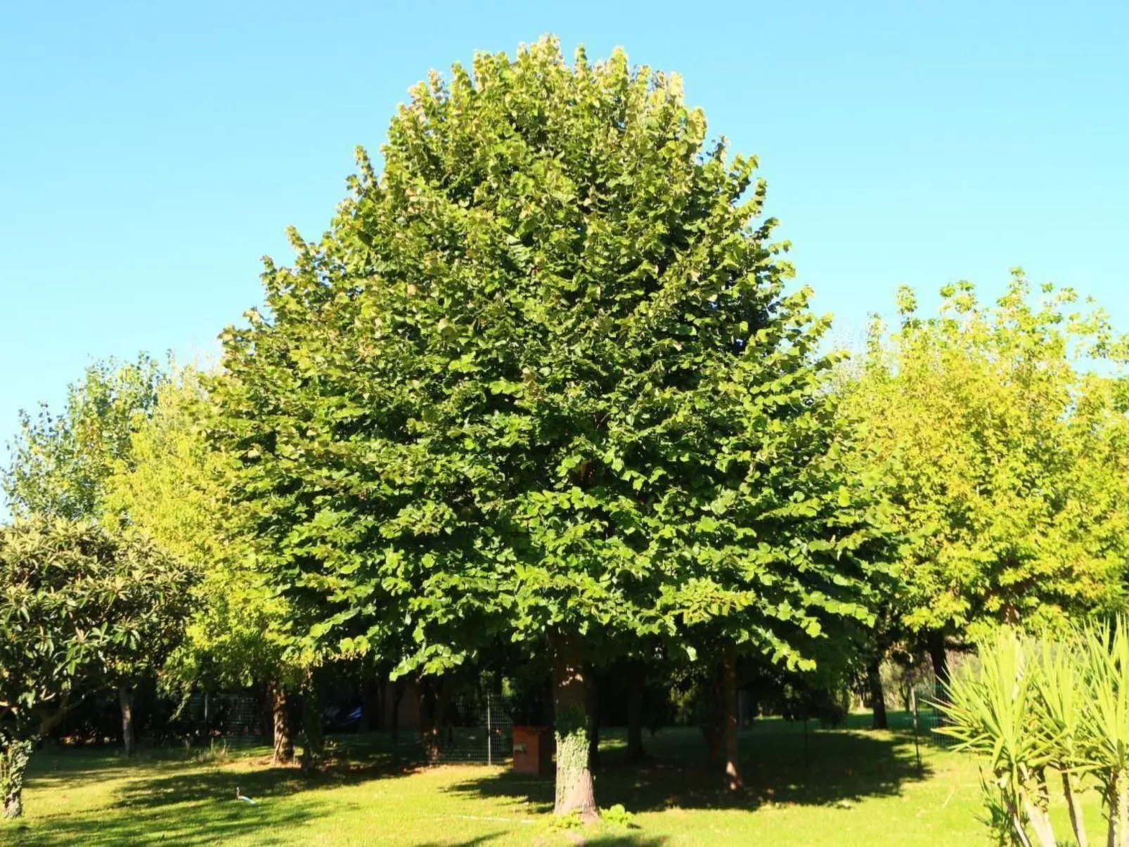 In Cascina mit privatem Parkplatz-Image-tags.info