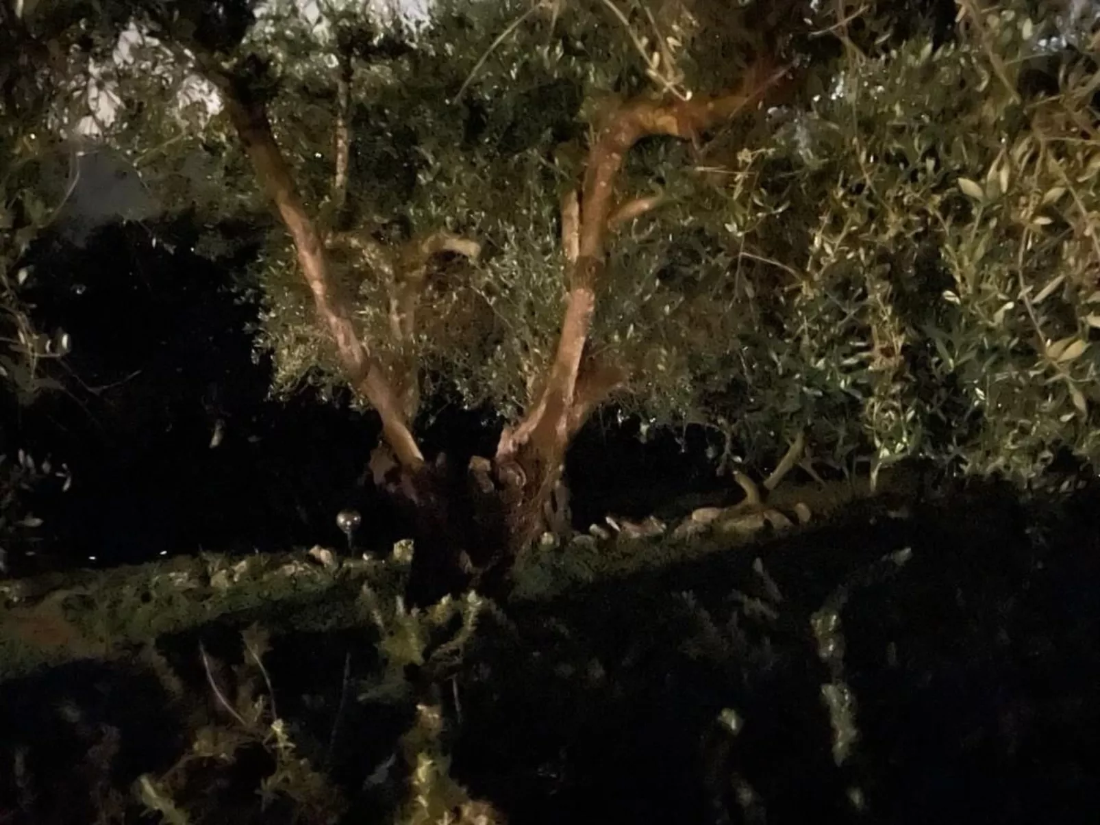 'Villa Lorien' mit Wasserblick-Draußen