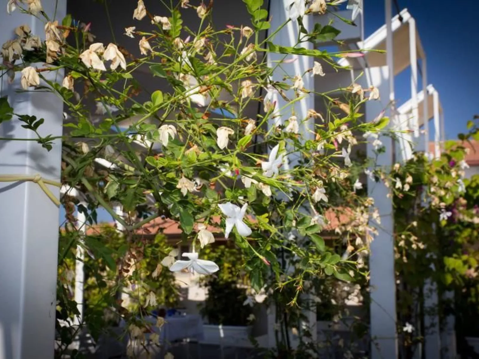 Wohnung im Erdgeschoss-Image-tags.info