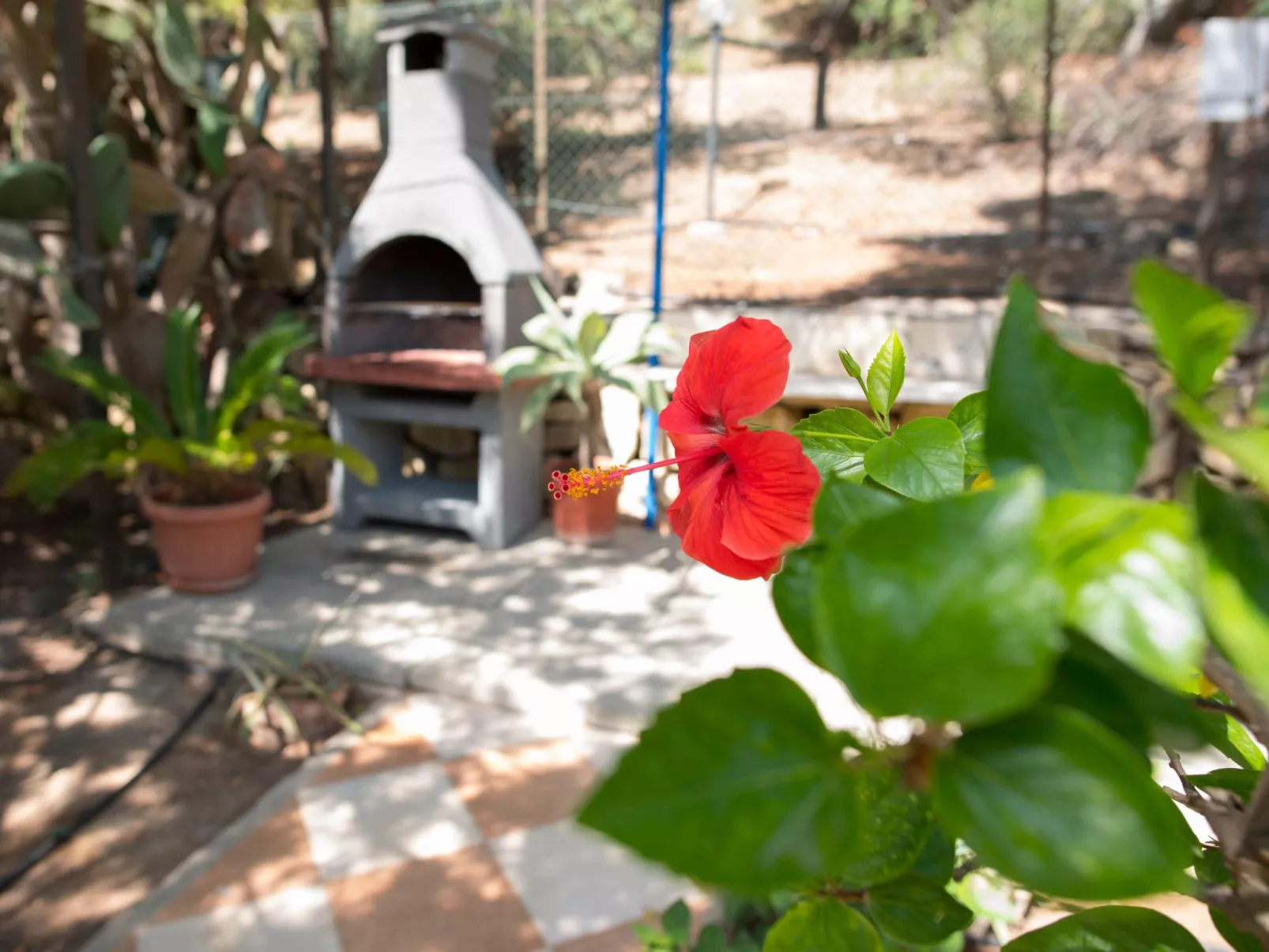 Renella' Wohnung mit Wasserblick-Image-tags.info