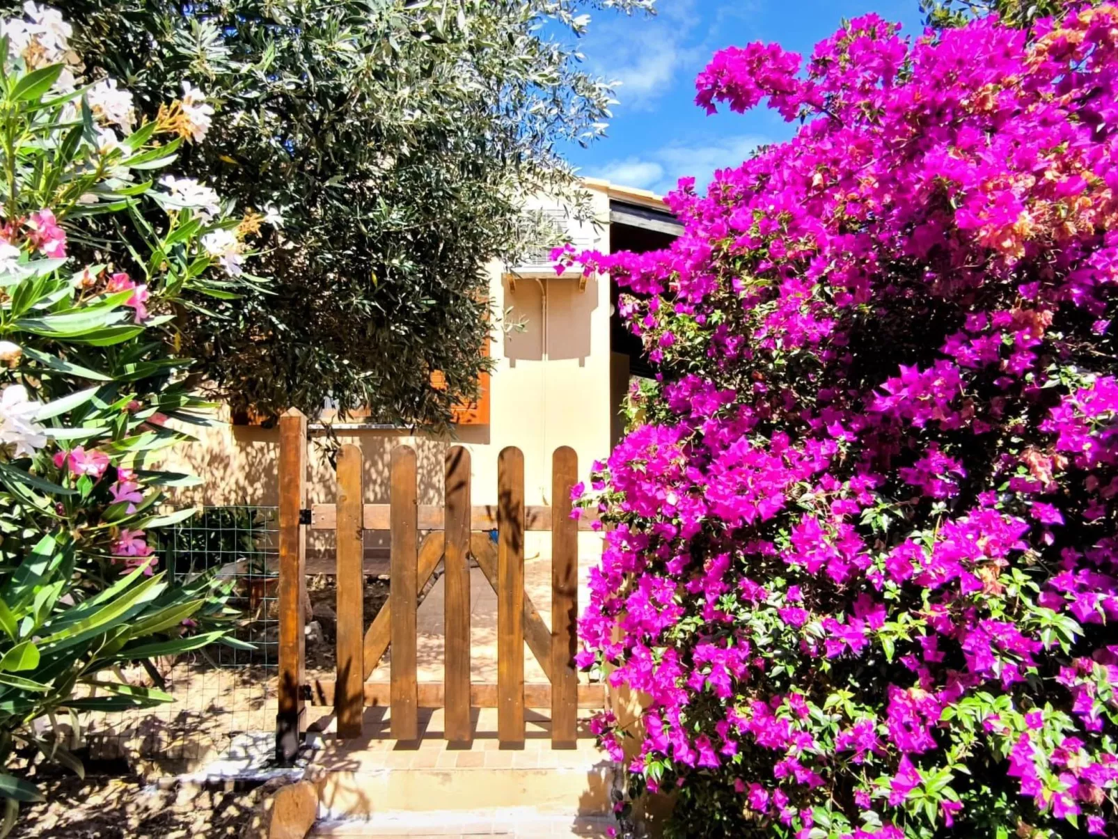 Terrazza Paradiso-Image-tags.info