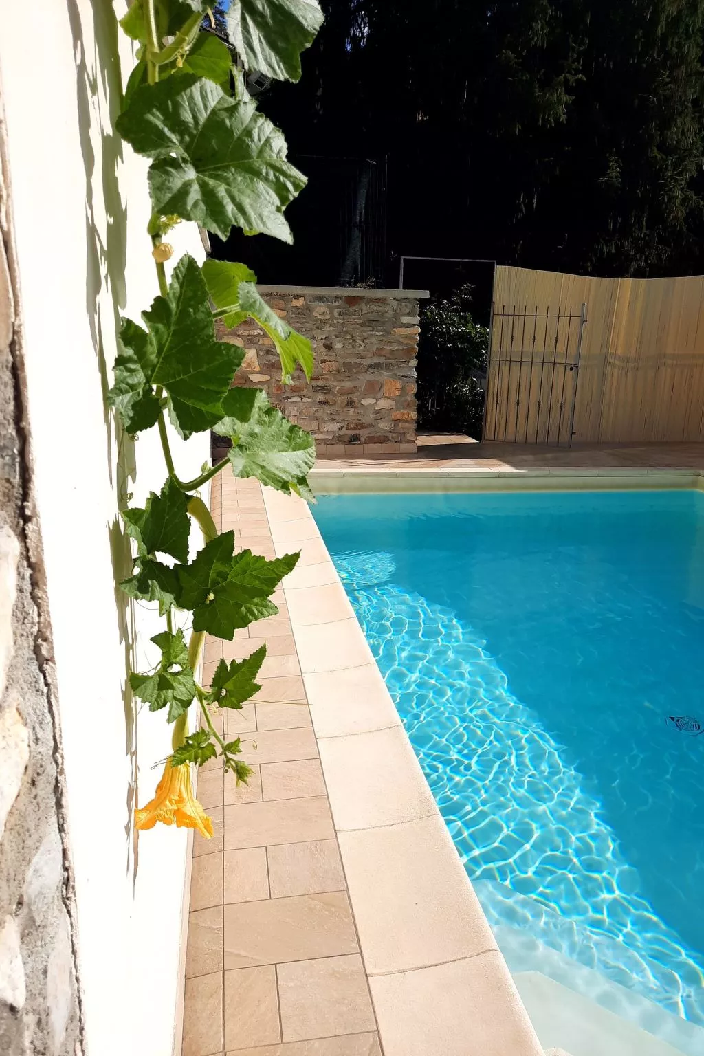 Villa in Borgomaro mit privatem Parkplatz-Draußen