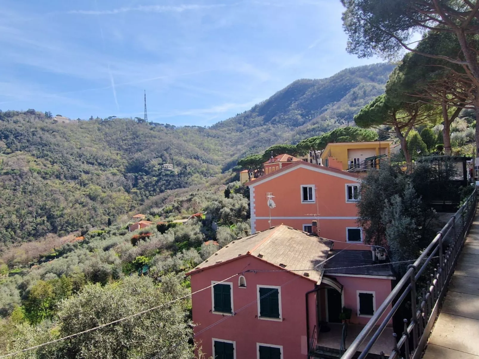 Ein Garten auf Camogli von Holiday World-Image-tags.info