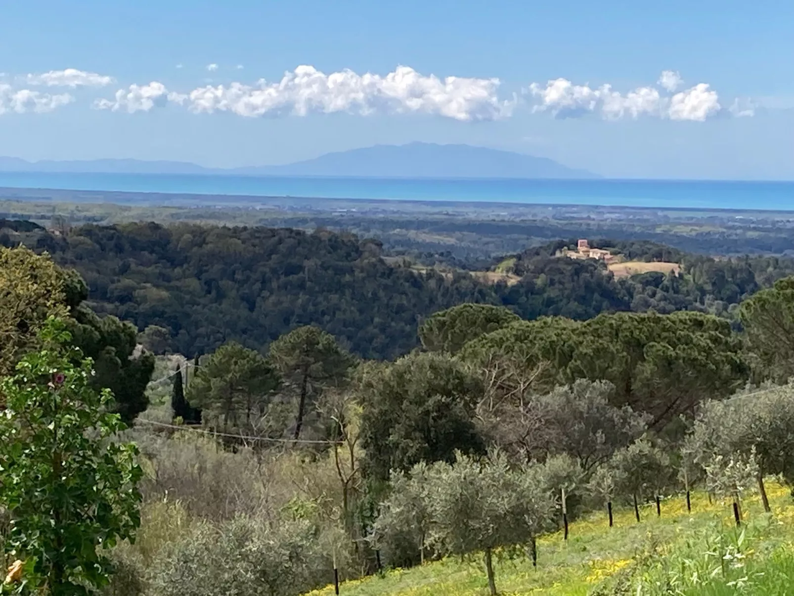 Podere Lo Zolfo-Draußen