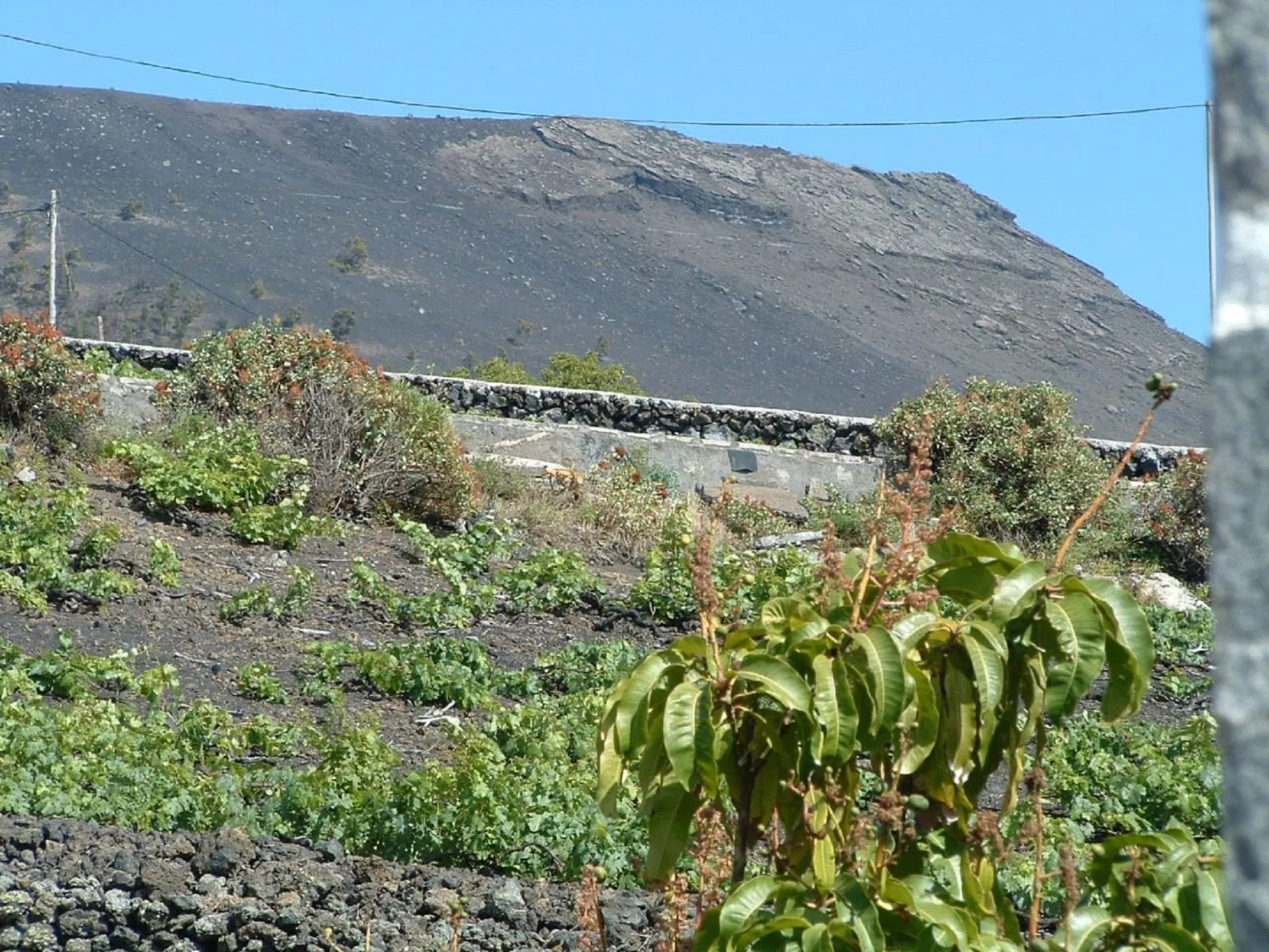 Mit Garten und wunderbarer Aussicht-Image-tags.info