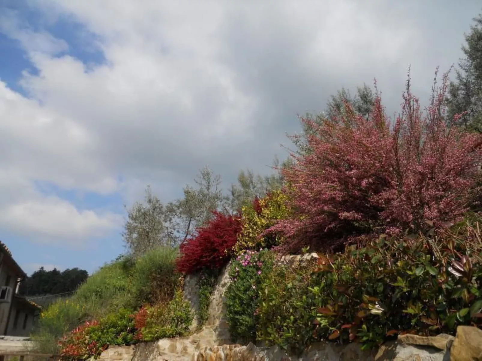 Bauernhaus Biancospino-Draußen