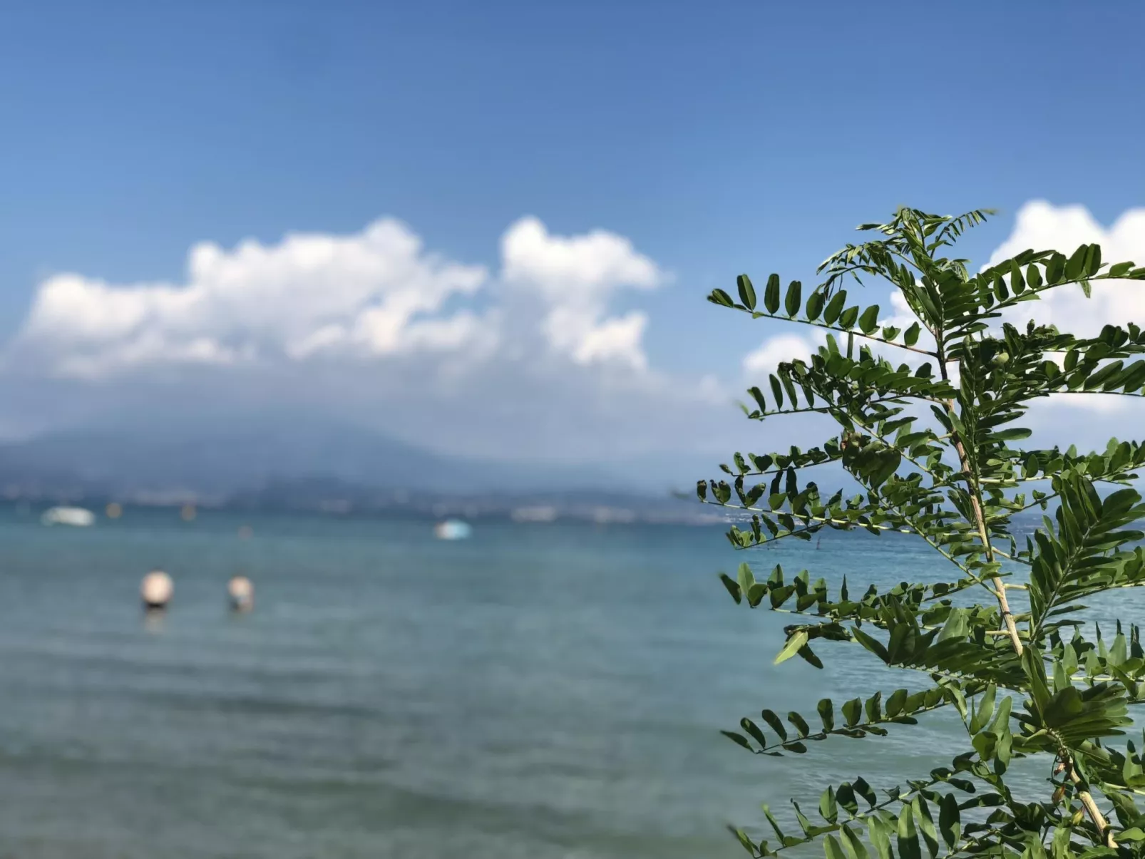 Gemütliche Drei-Zimmer-Wohnung mit Garten-Dedans