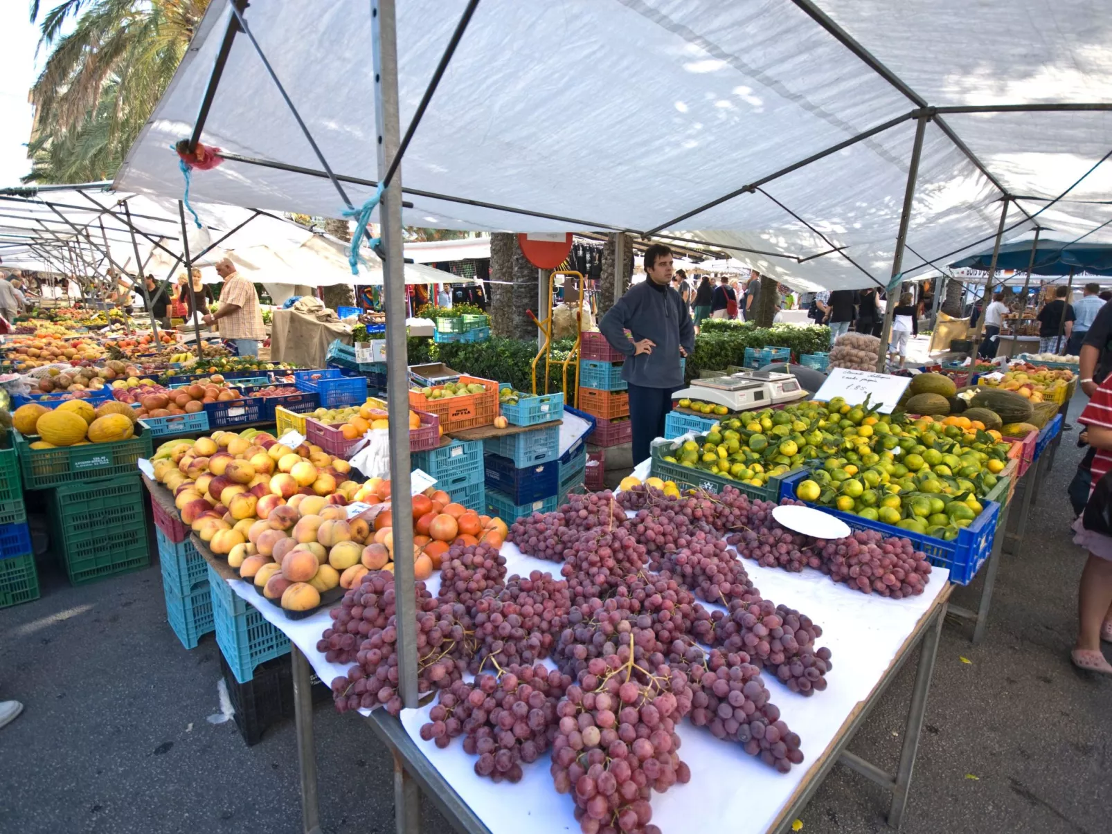 Landhaus mit Garten, Sonnenterrasse sowie überdachter Terrasse und Pool in Stra-Outside
