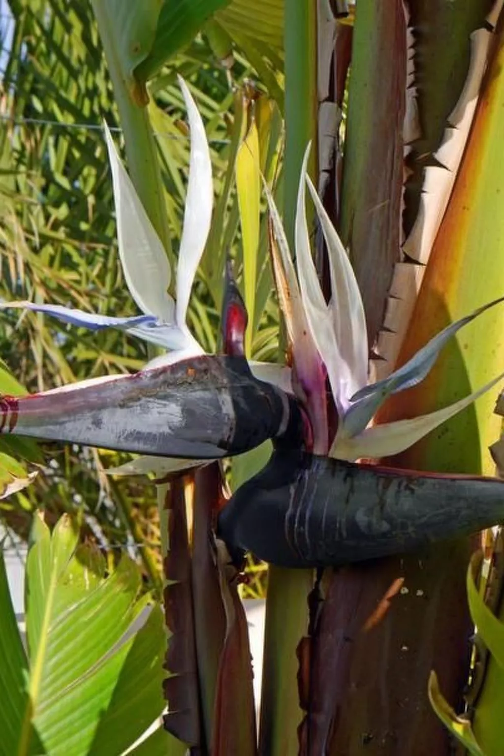 Casa 3 Leones-Draußen