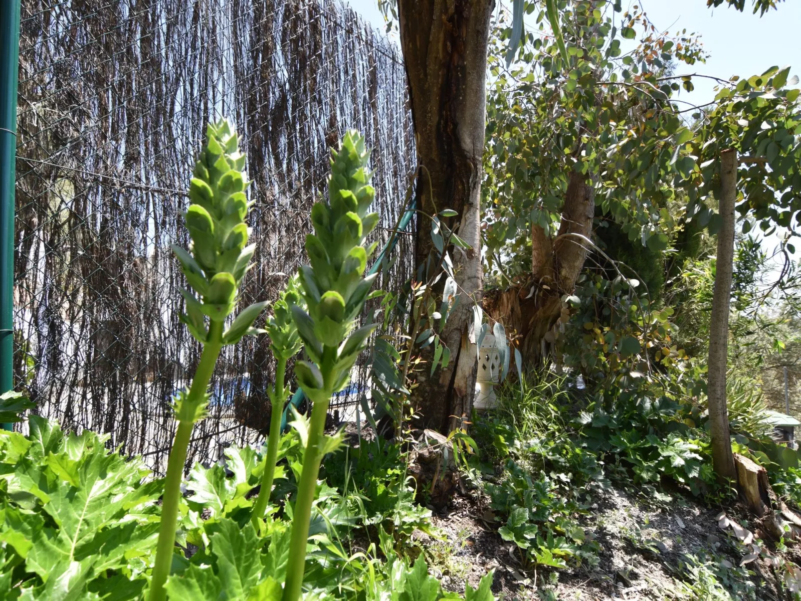 Finca El Corinto - Ein verwunschener Ort-Dehors