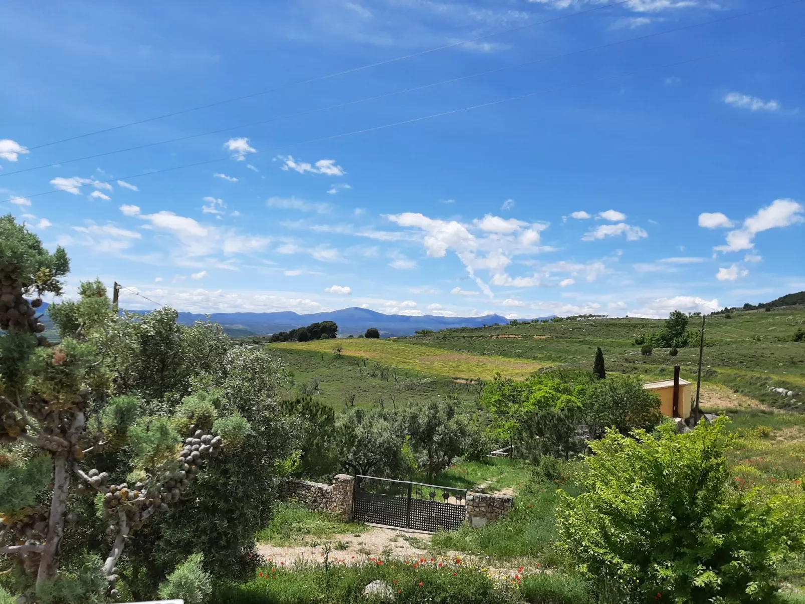 Weingut "Garnacha de Borja".-Image-tags.info