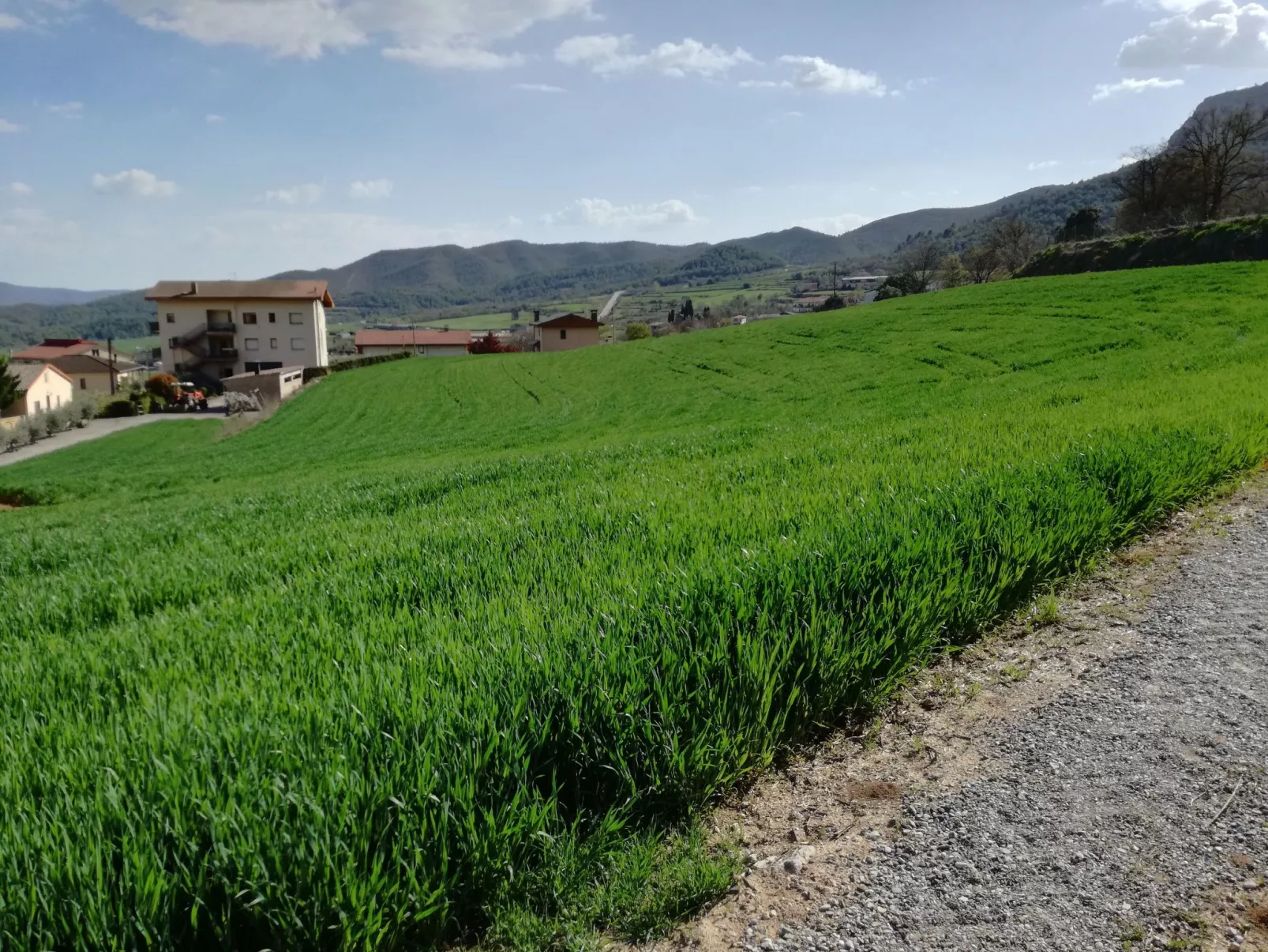 Cal Serveró 2-Image-tags.info