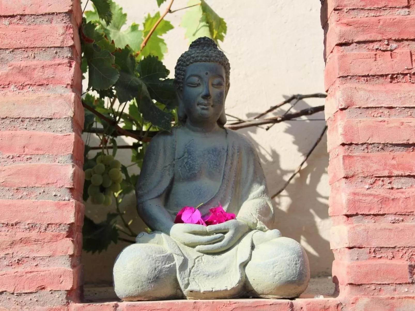 Casa Ines-Image-tags.info