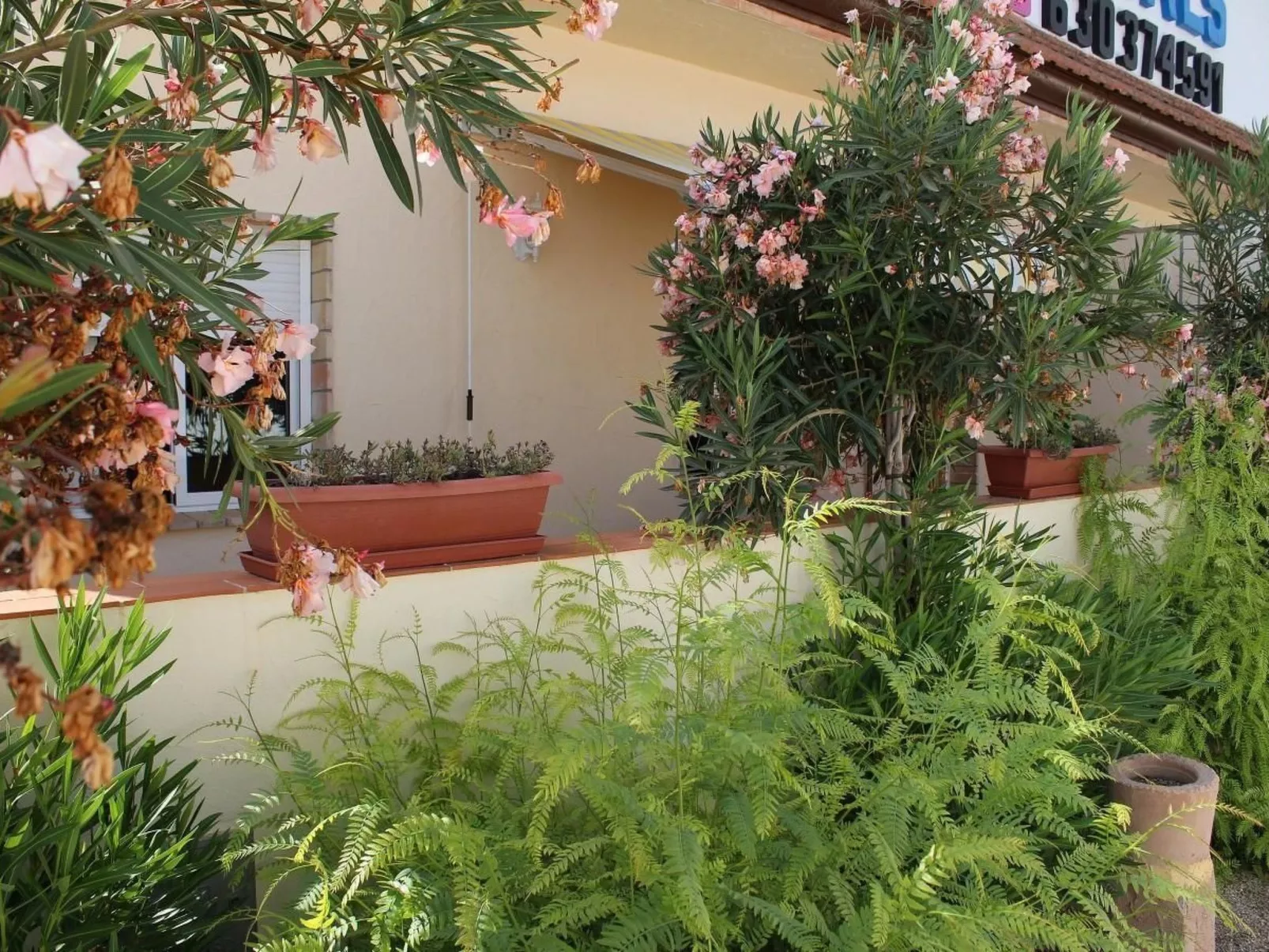 Casa Flora-Image-tags.info