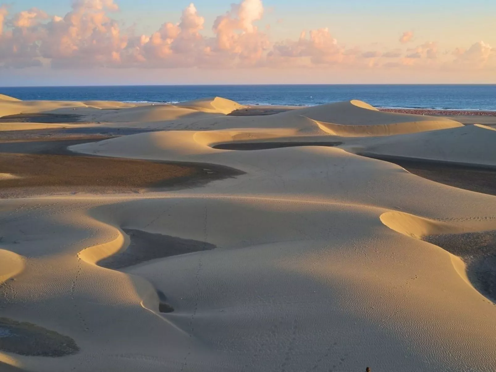 VCV FLACH PUNTILLA-Image-tags.info